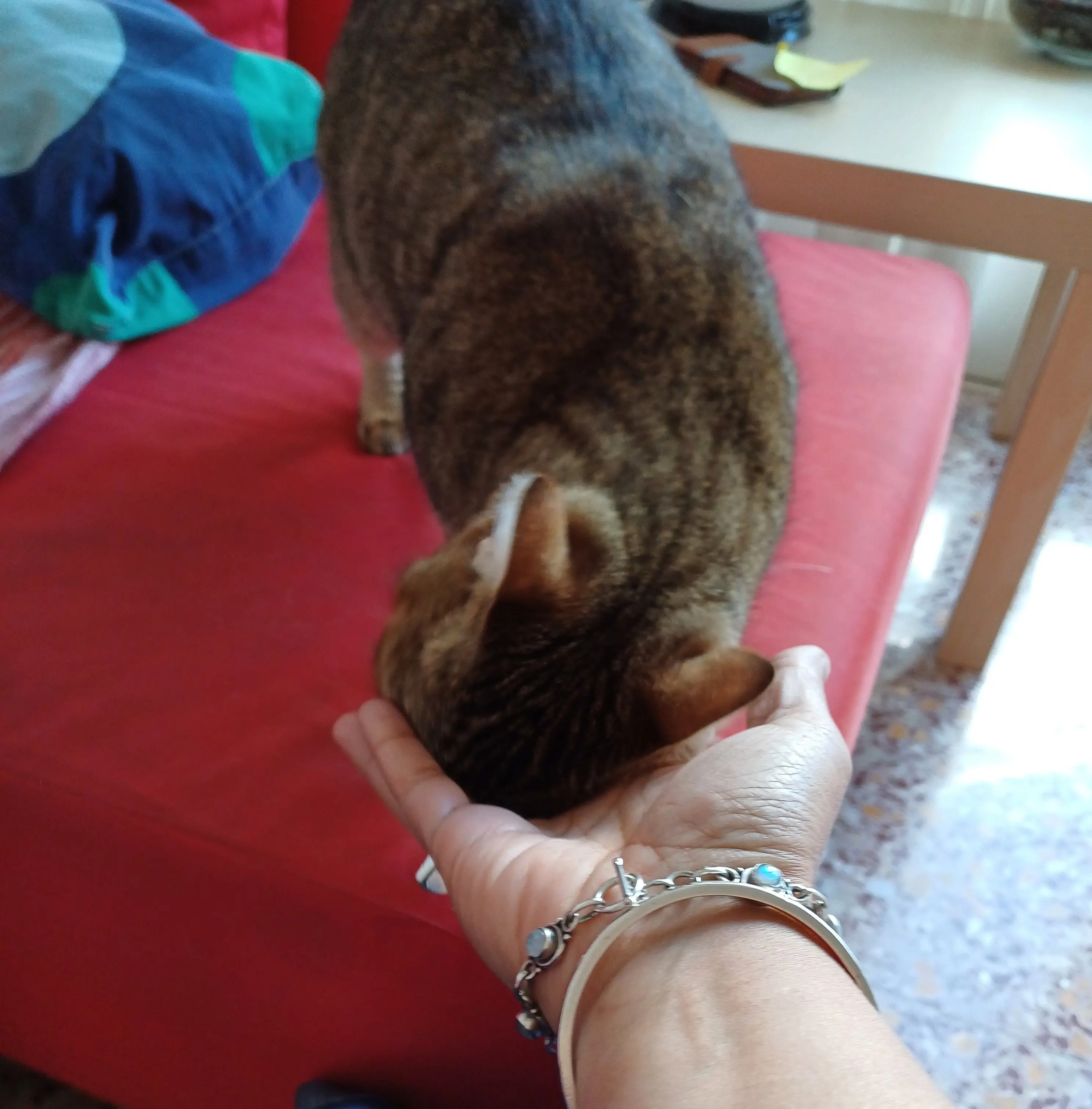 image-4