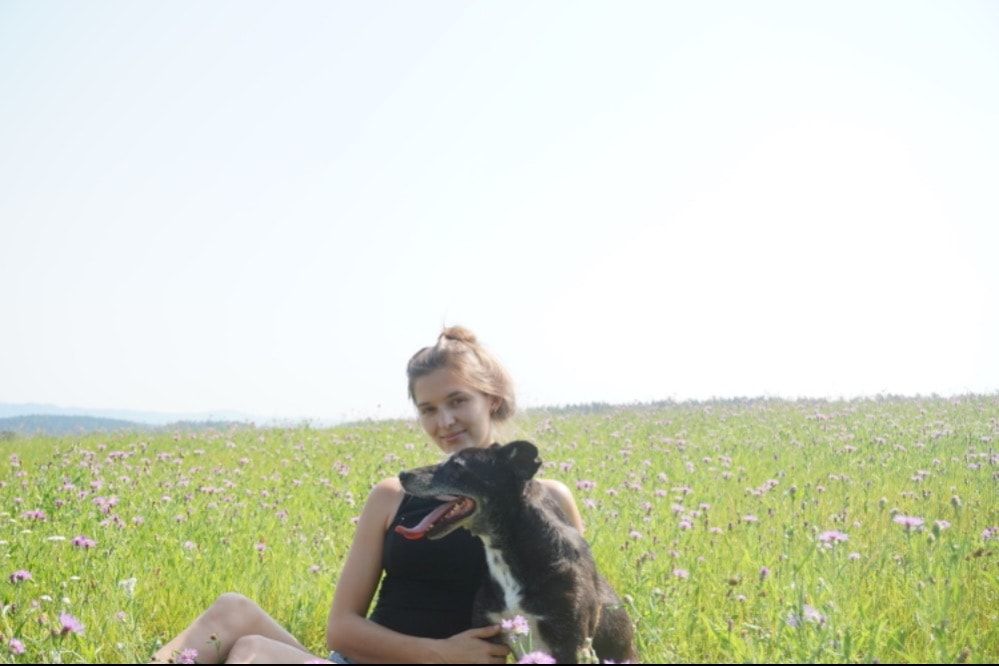 image-0