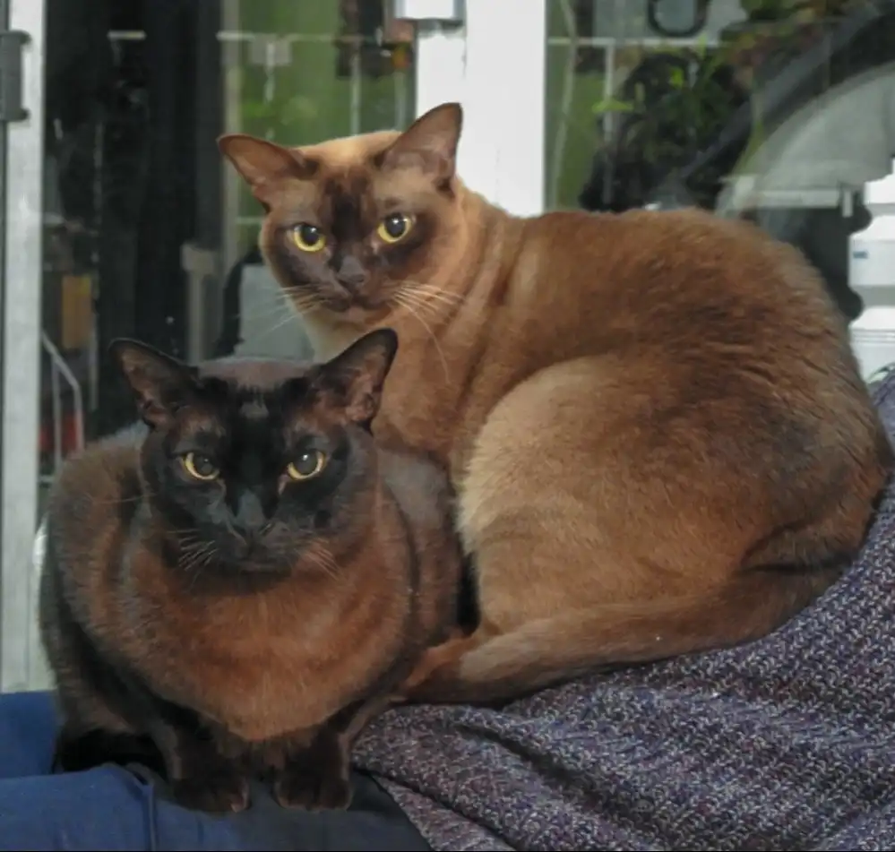 image-34