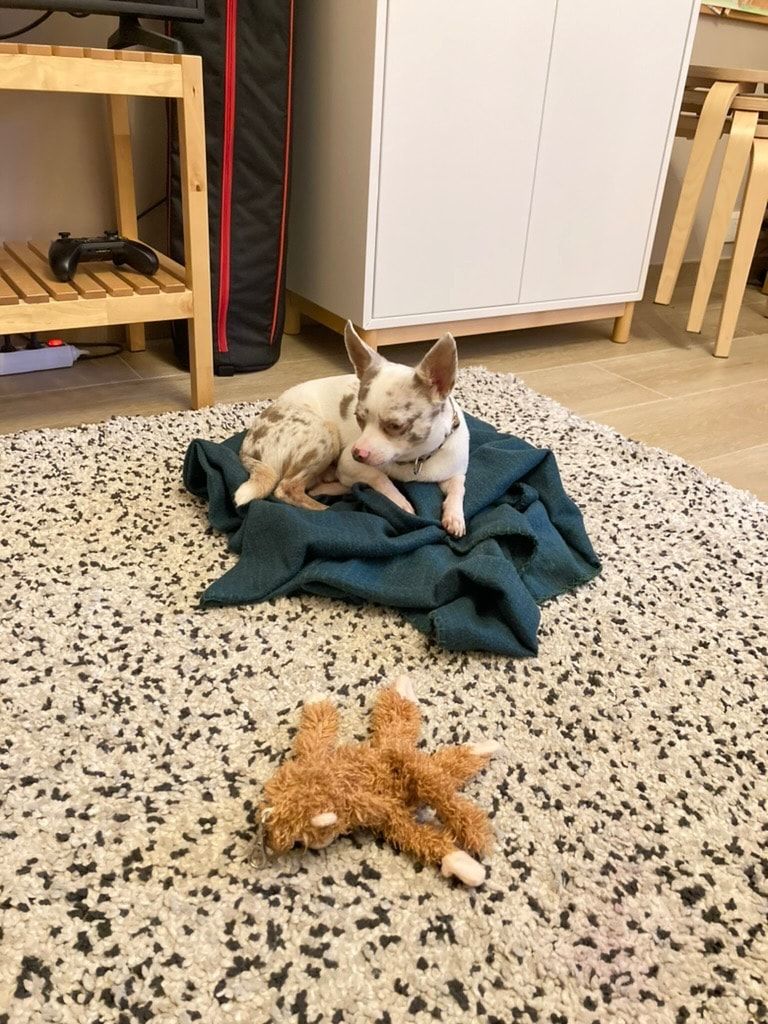 image-8
