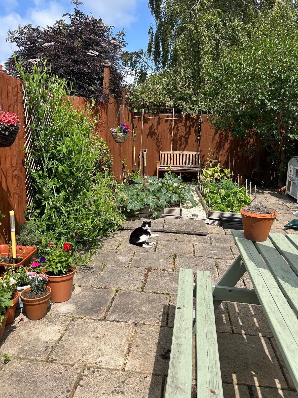 image-15