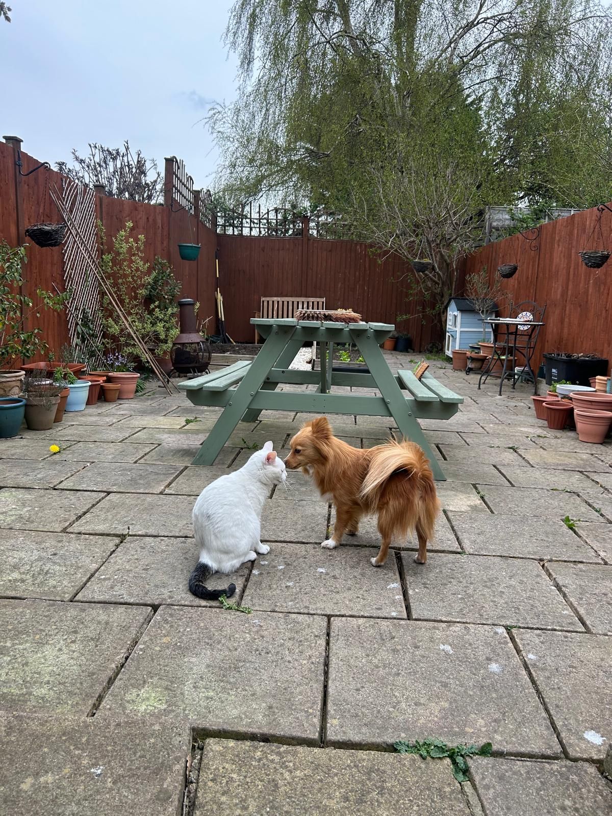 image-18