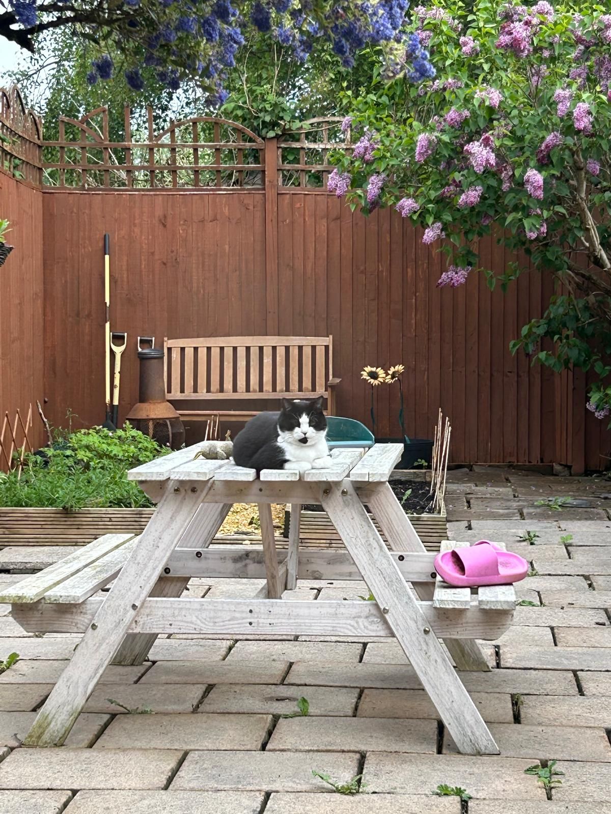 image-16