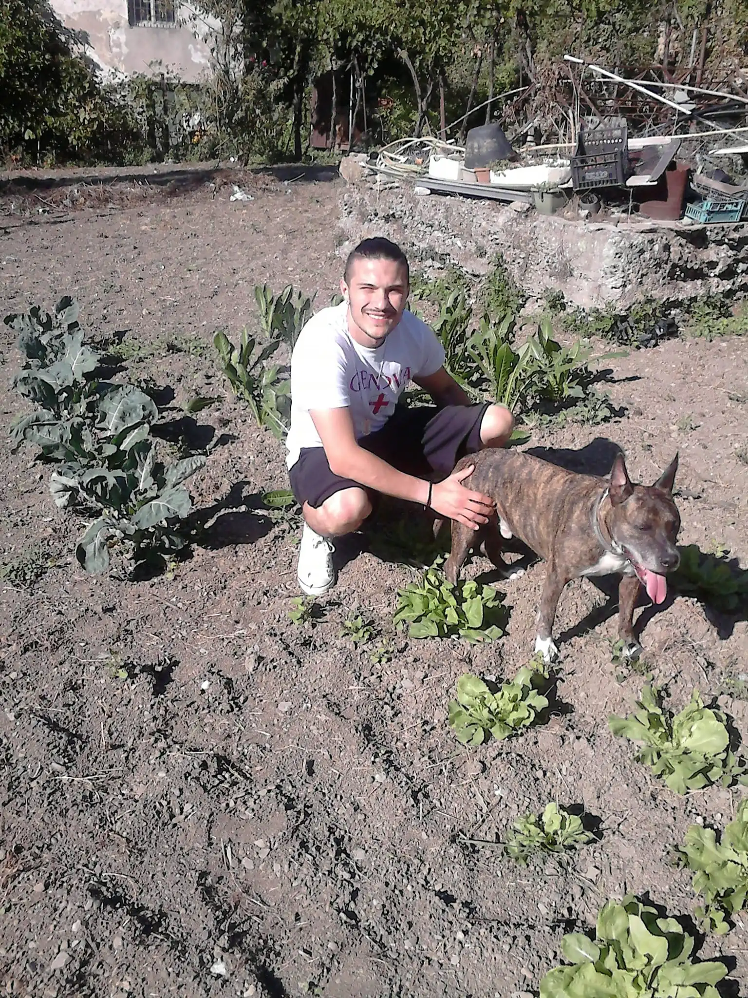 image-5