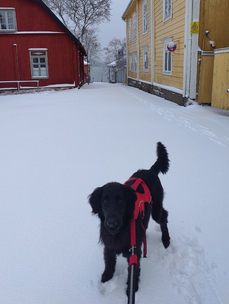 image-11