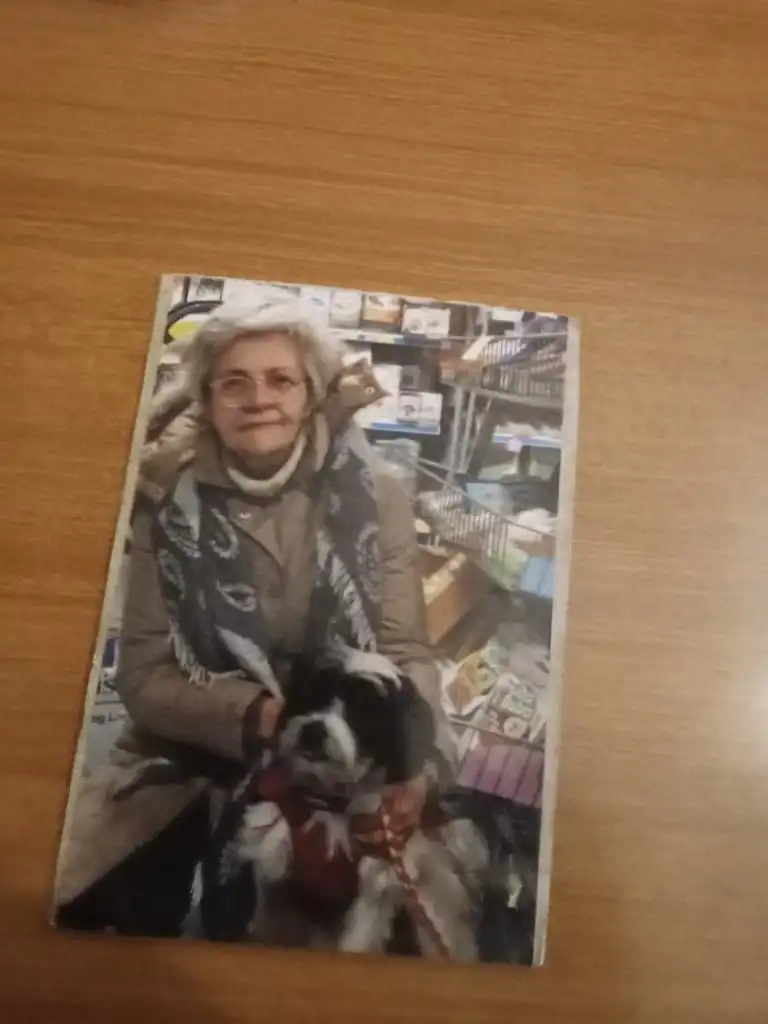 image-7