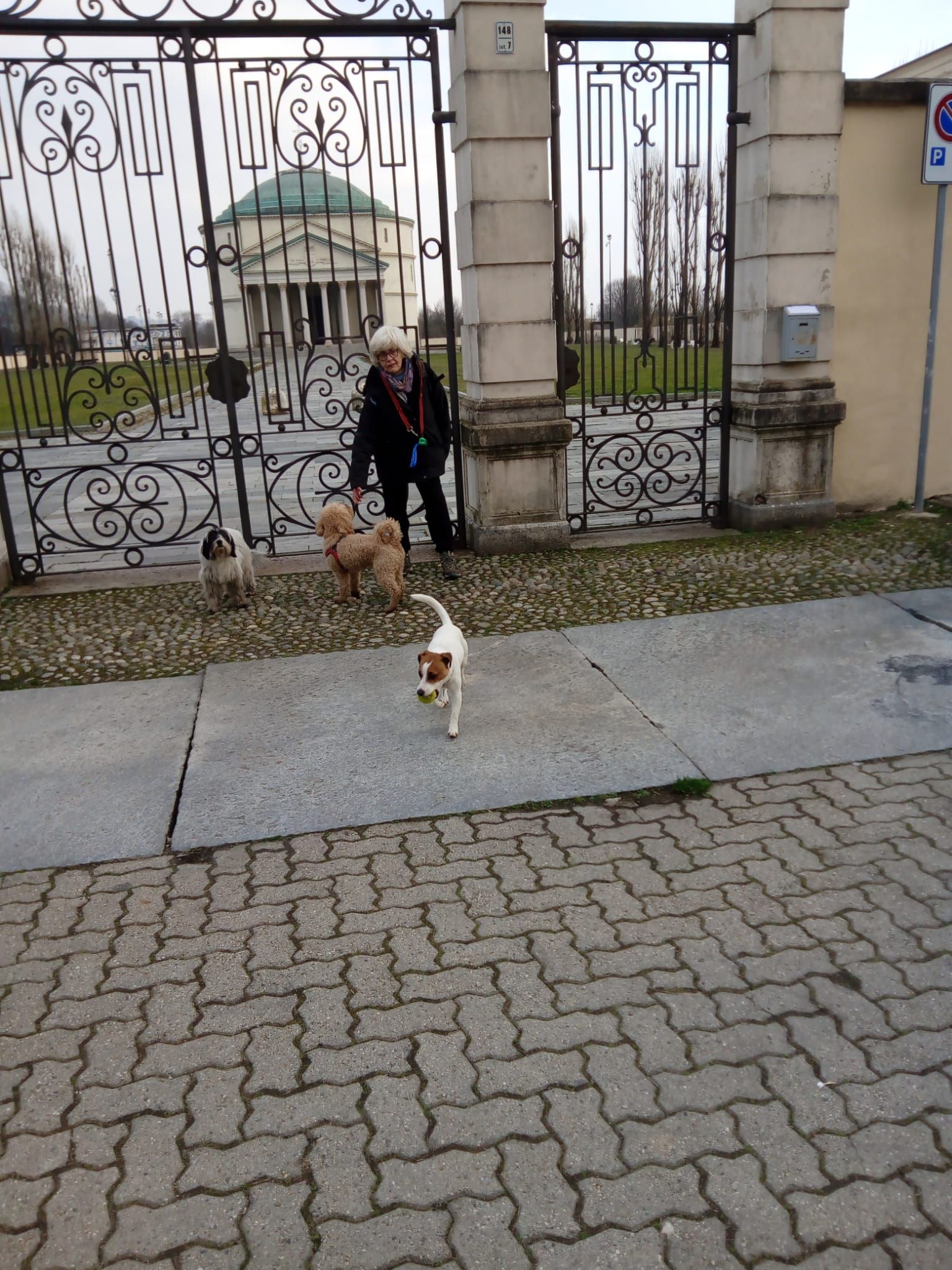 image-3