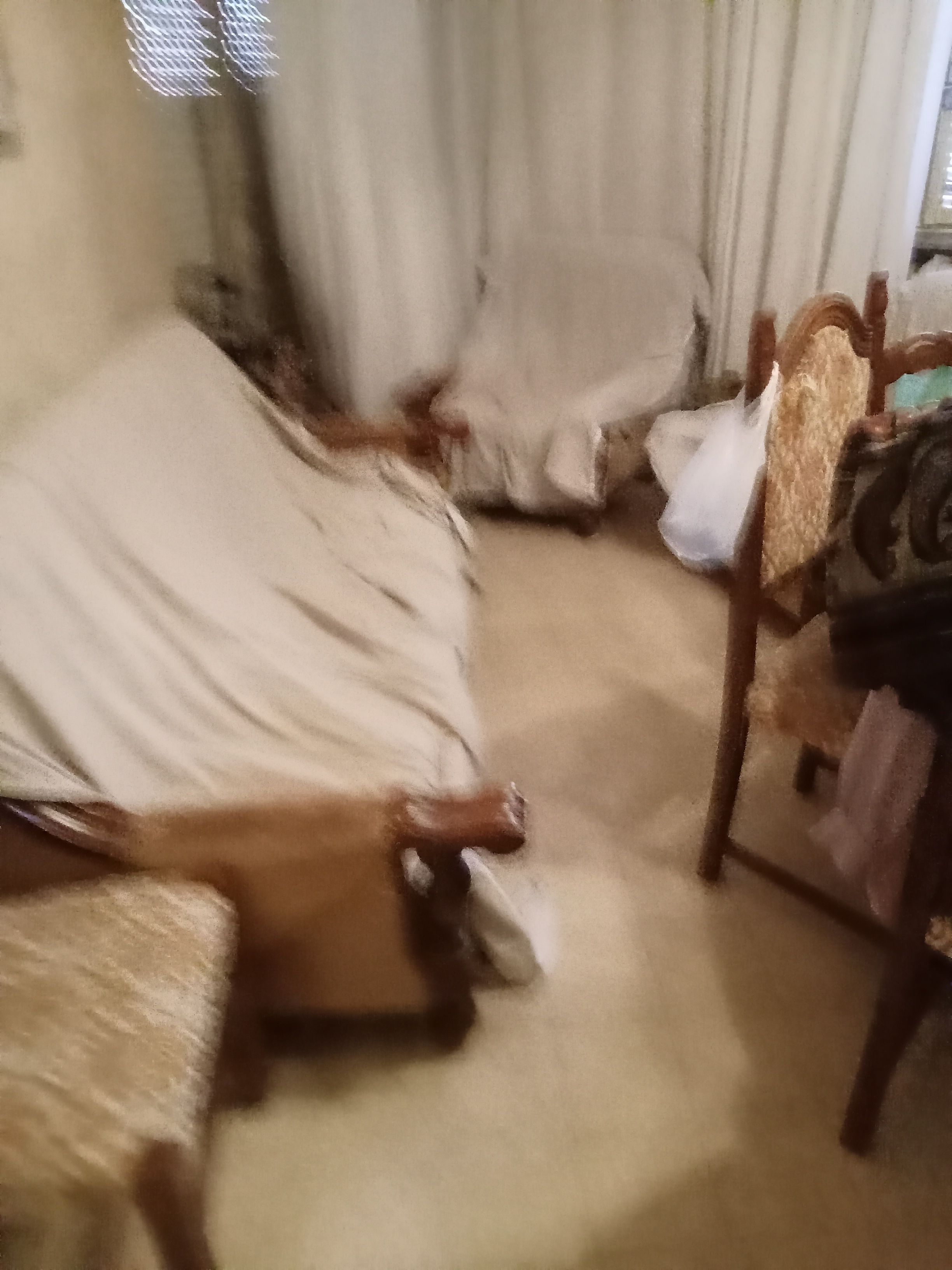 image-19