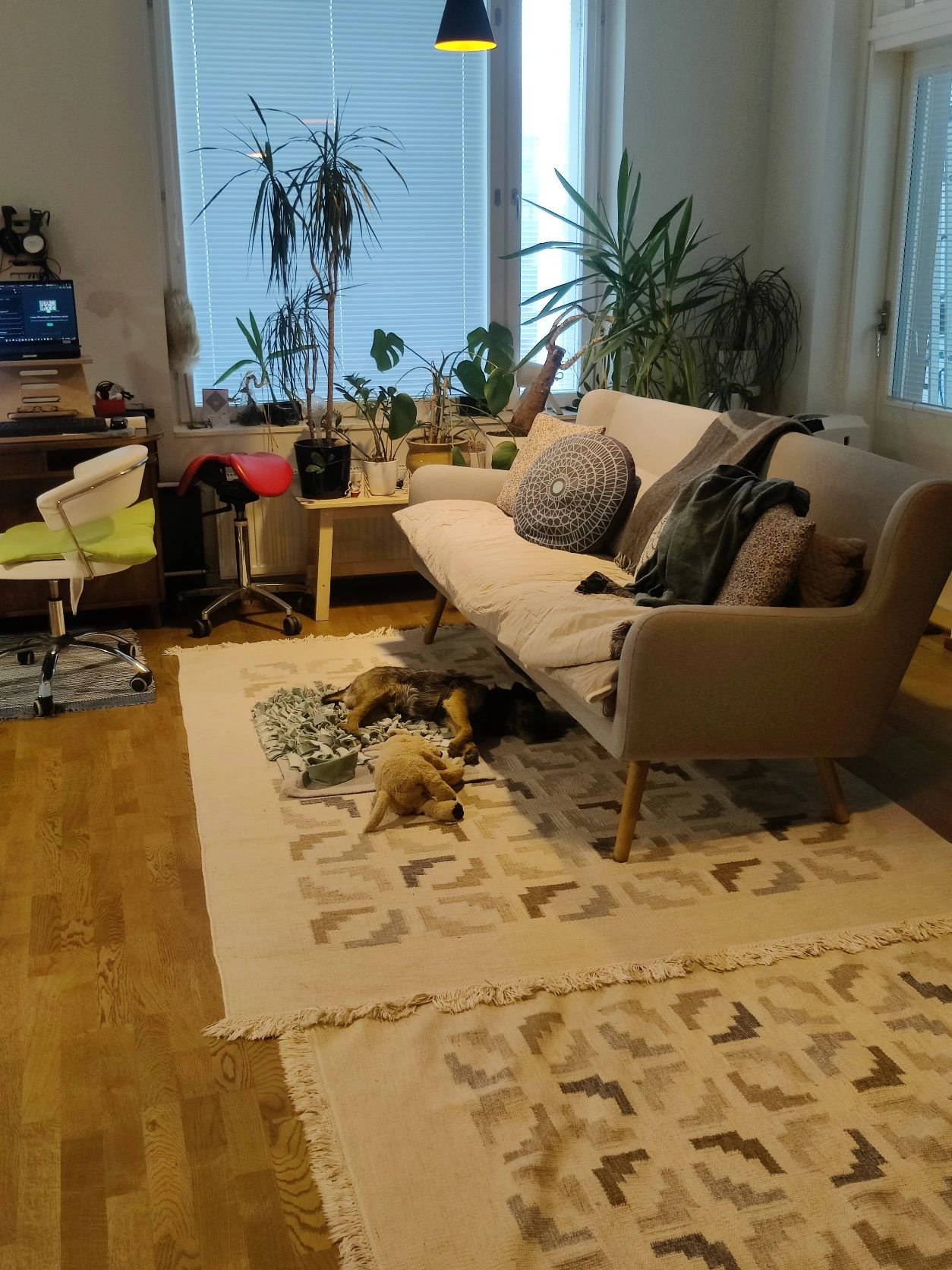 image-17