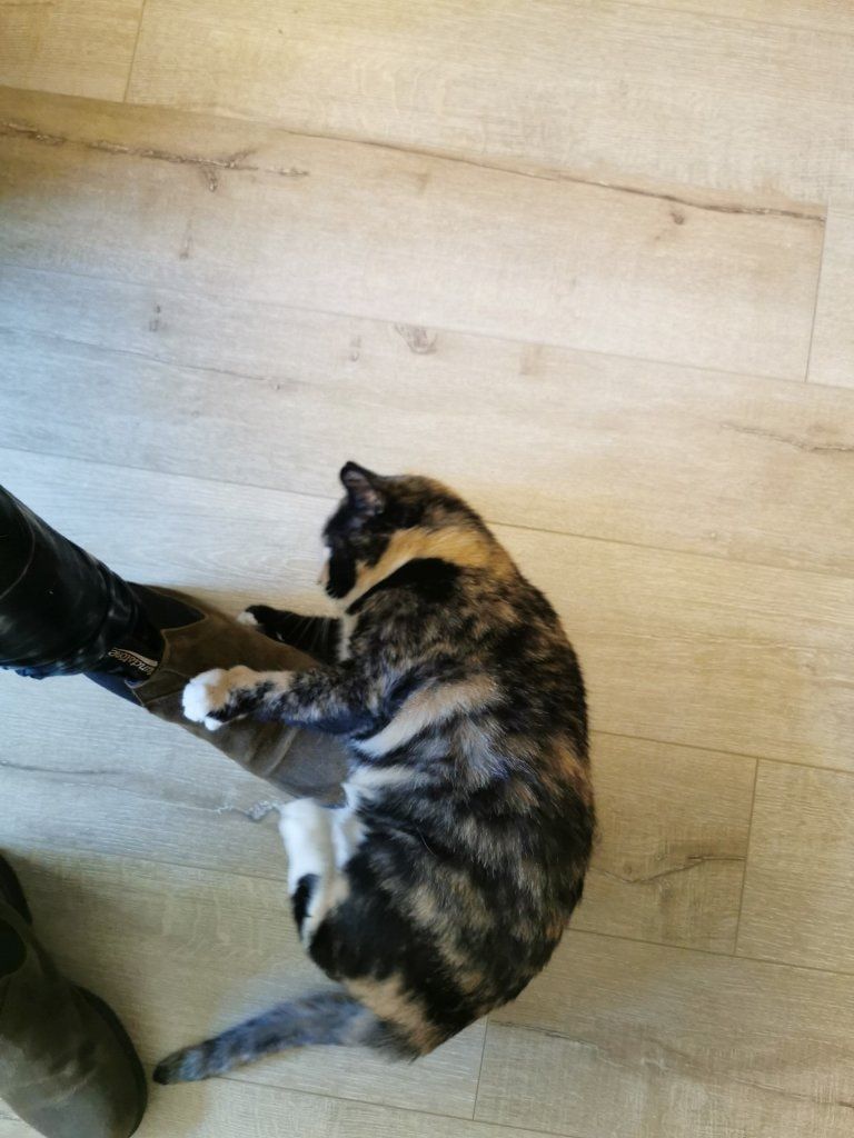 image-15