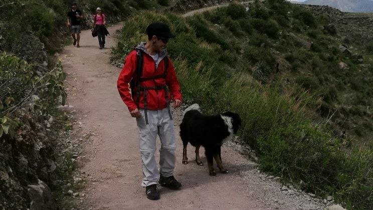 image-3