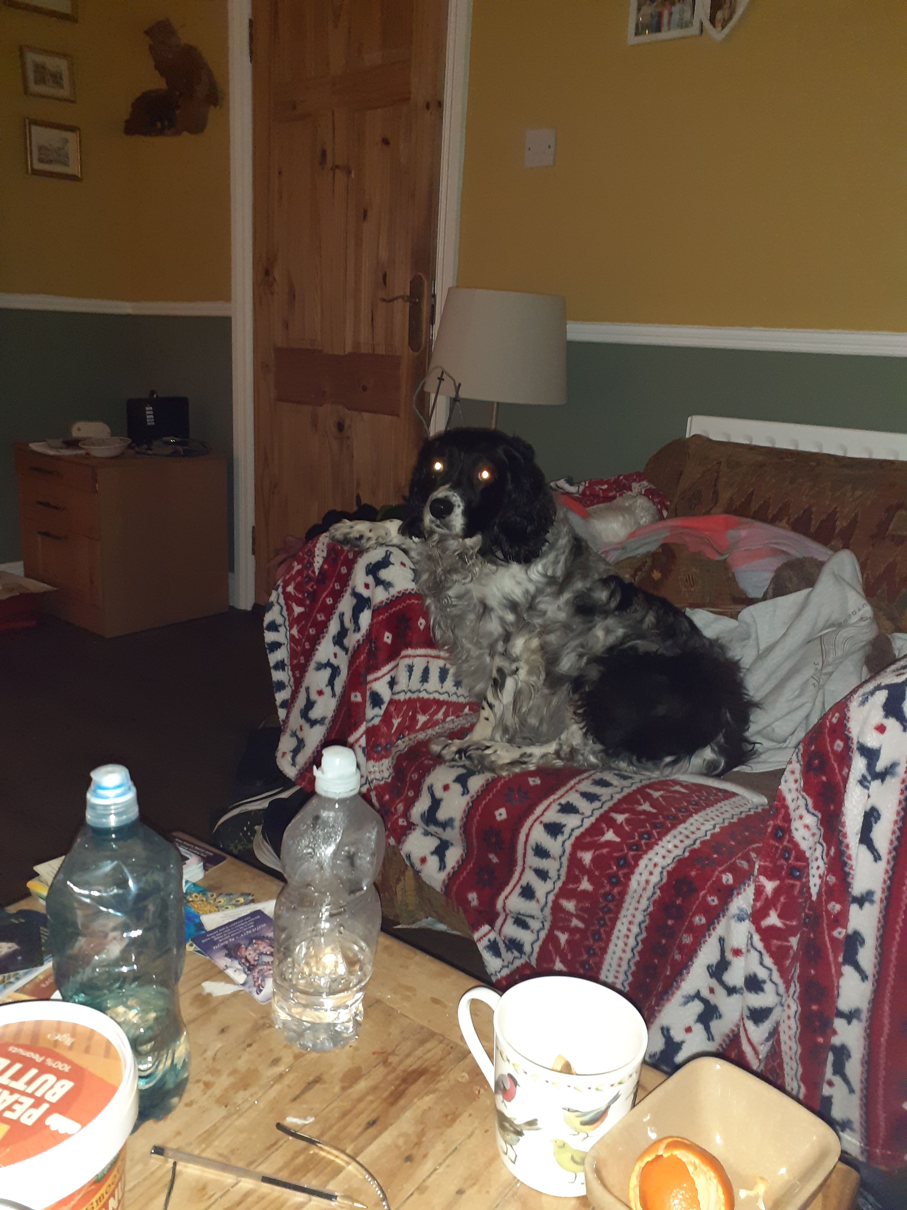 image-7