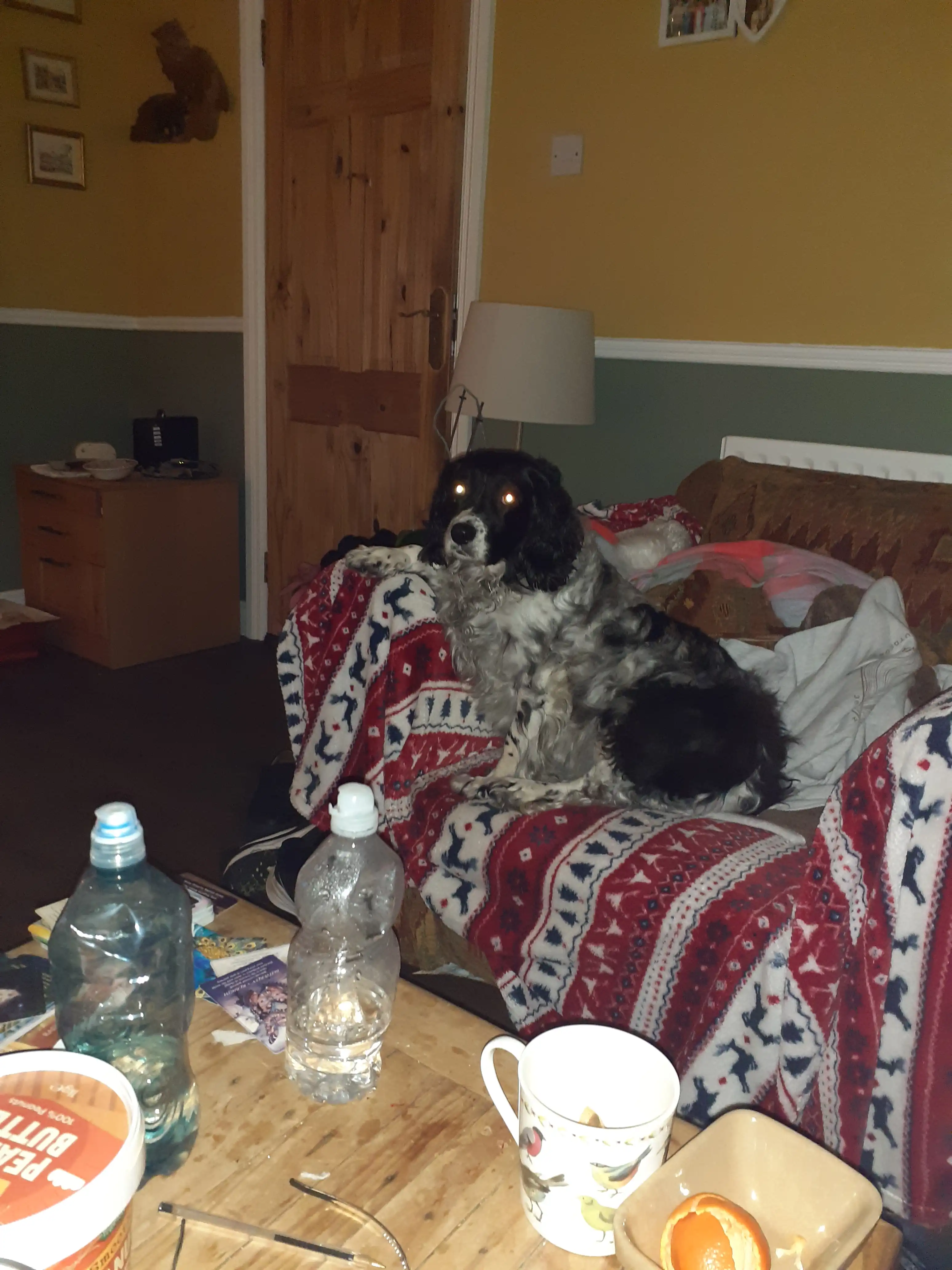 image-7