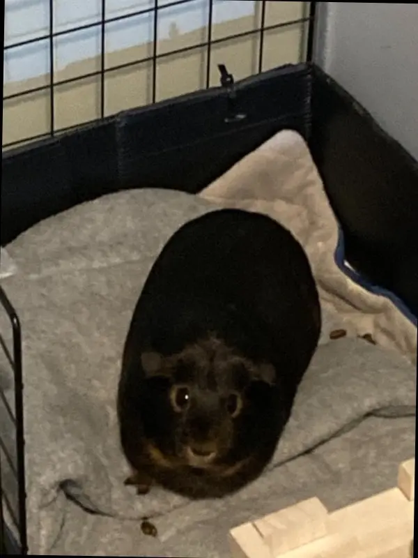 image-3