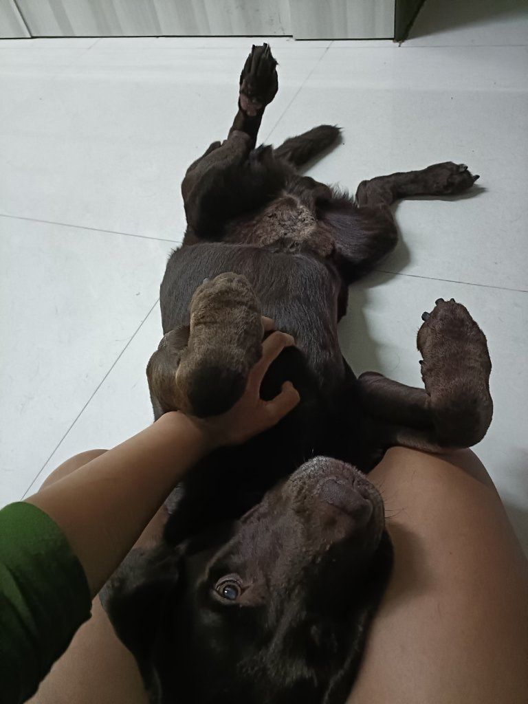 image-5