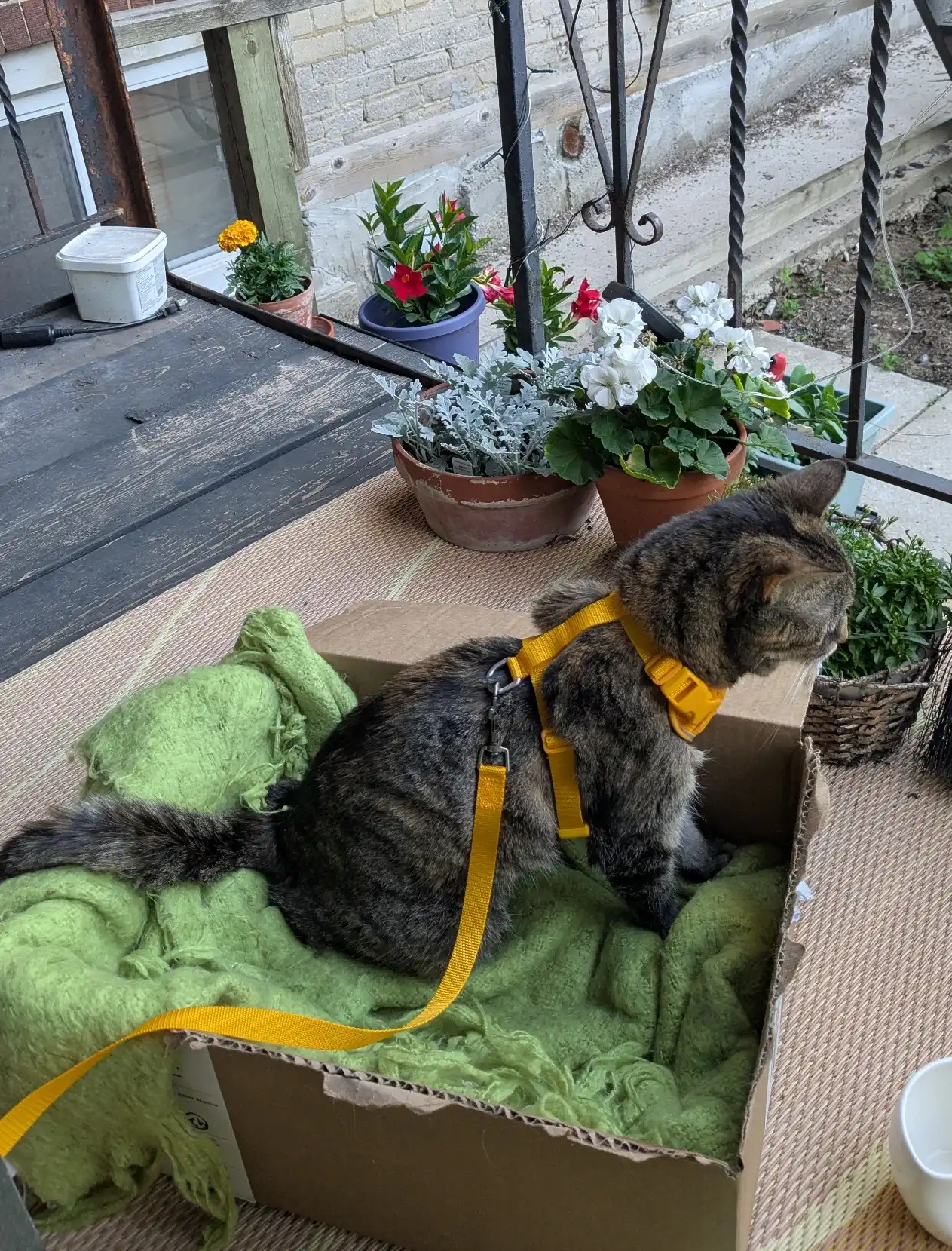 image-8