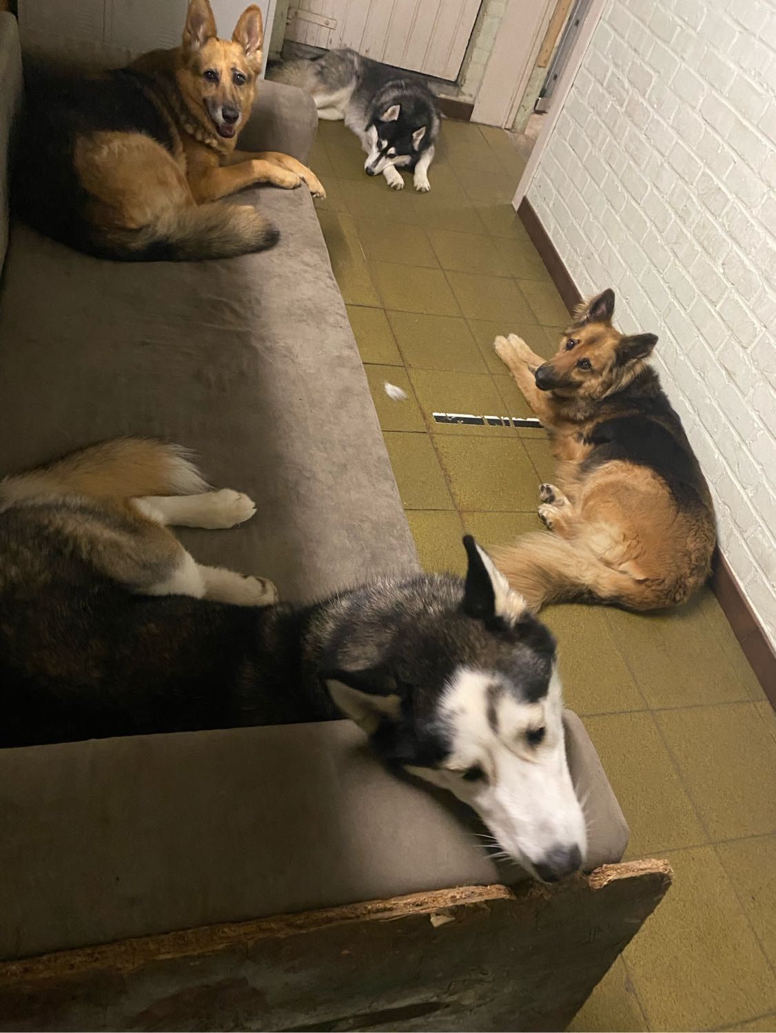 image-13