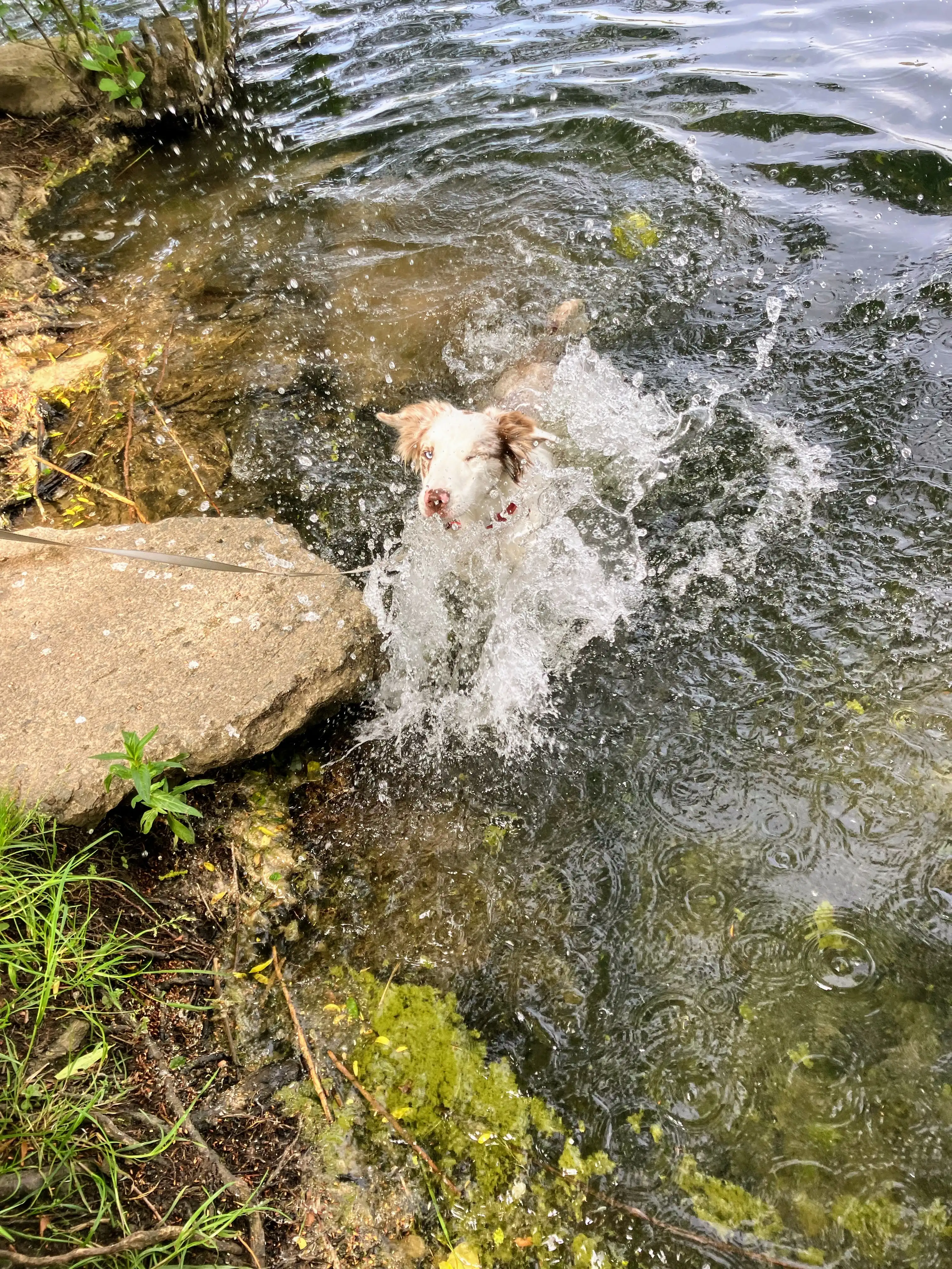 image-10