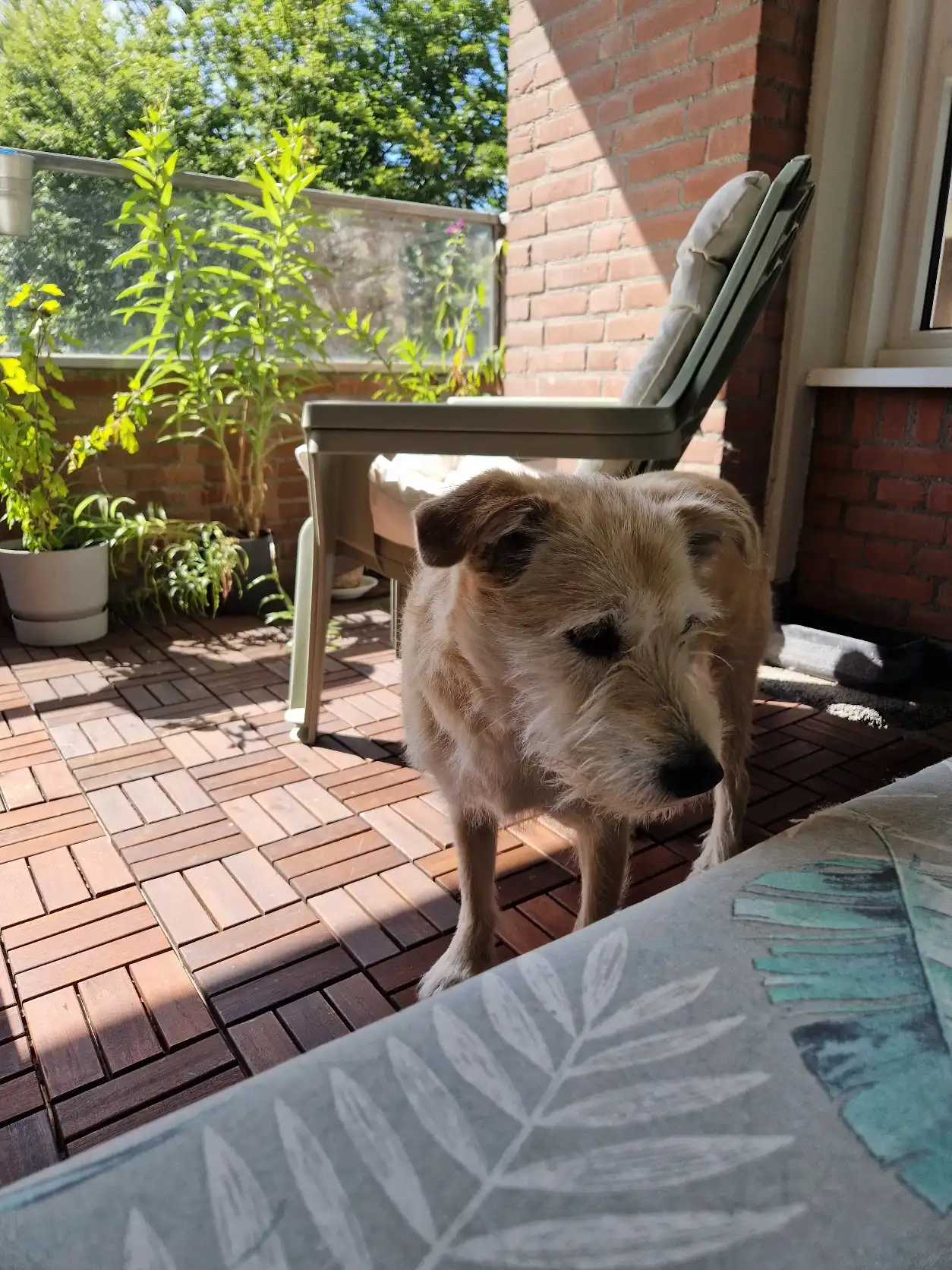 image-9