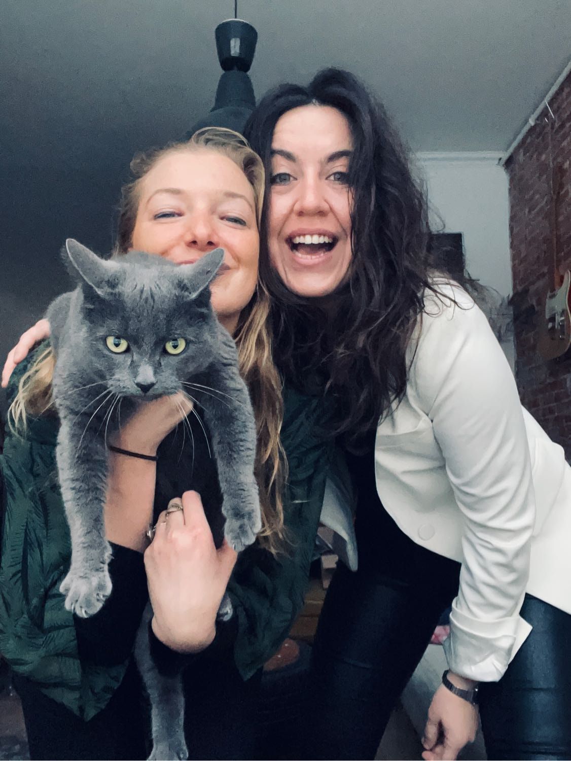 image-6
