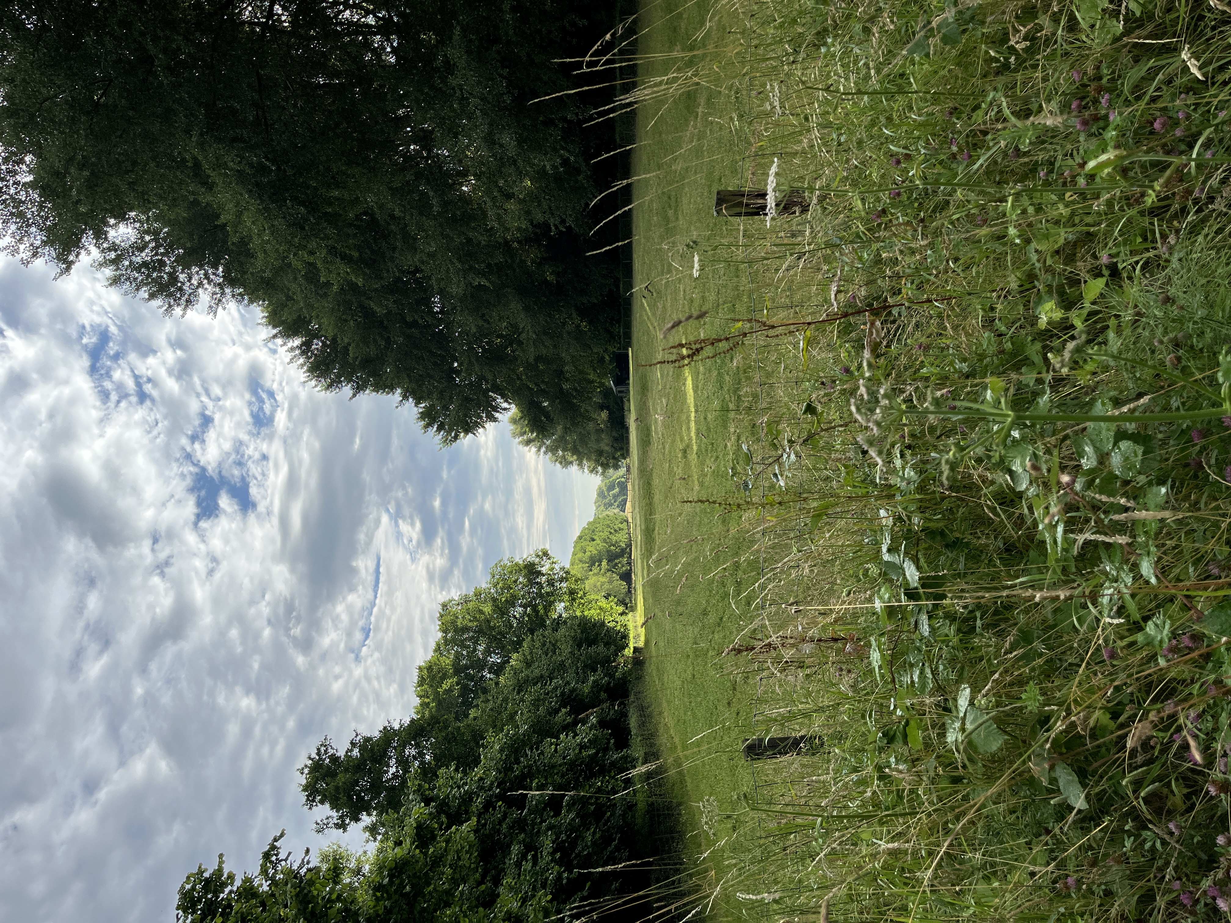 image-20
