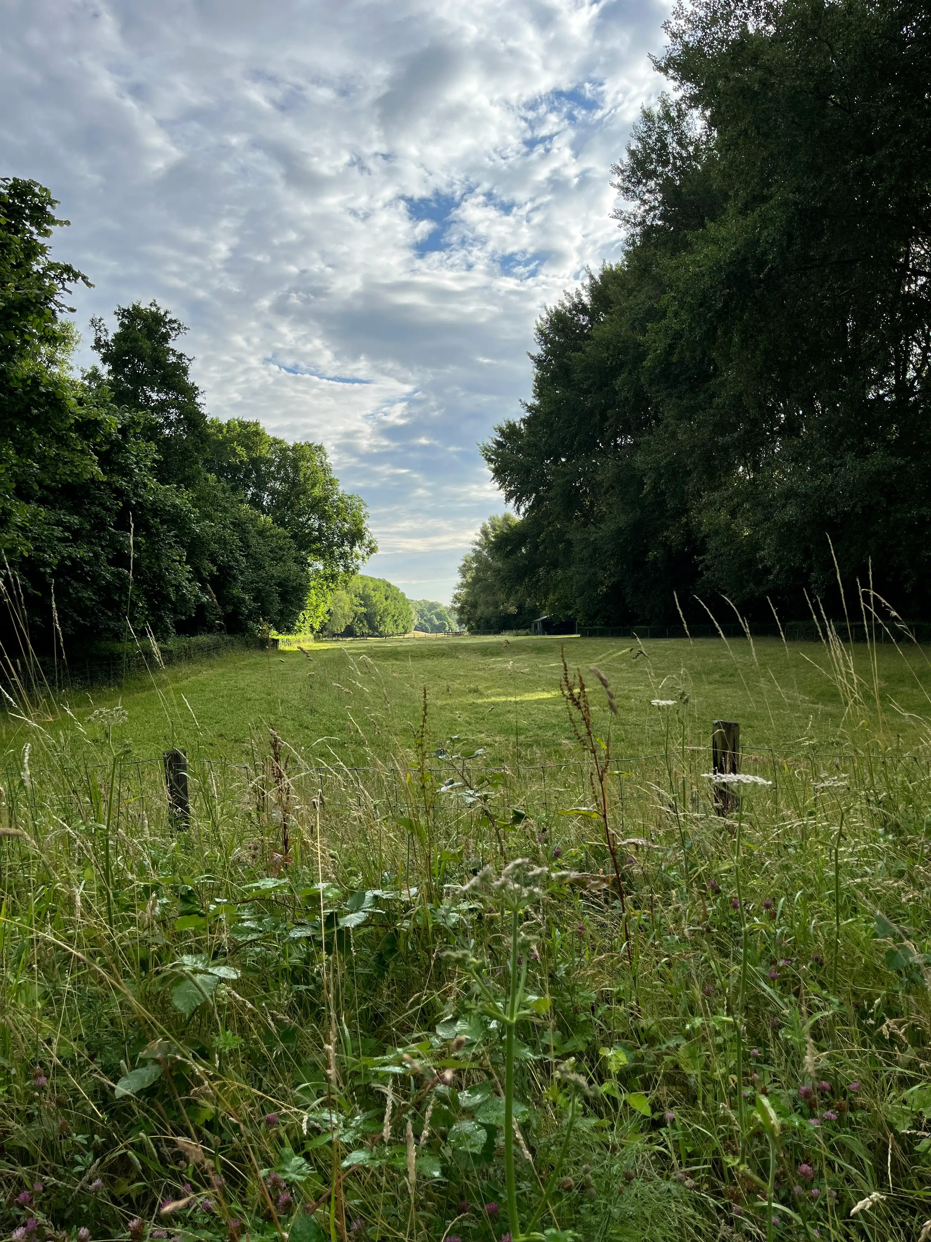 image-20