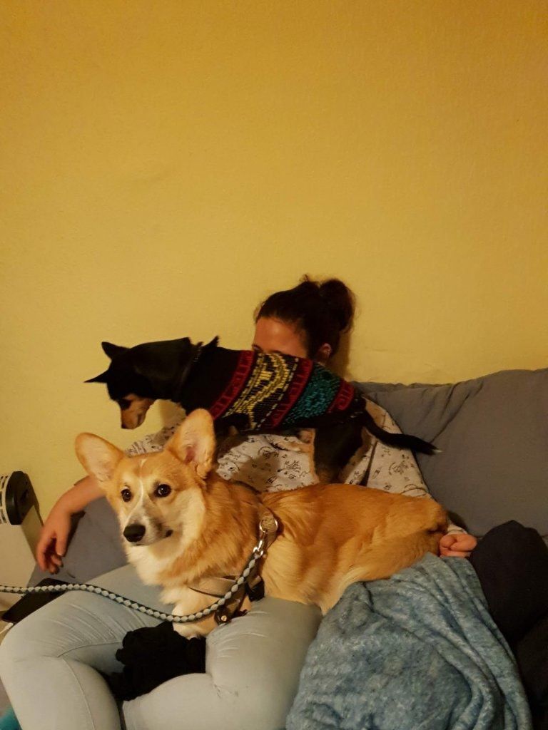 image-7
