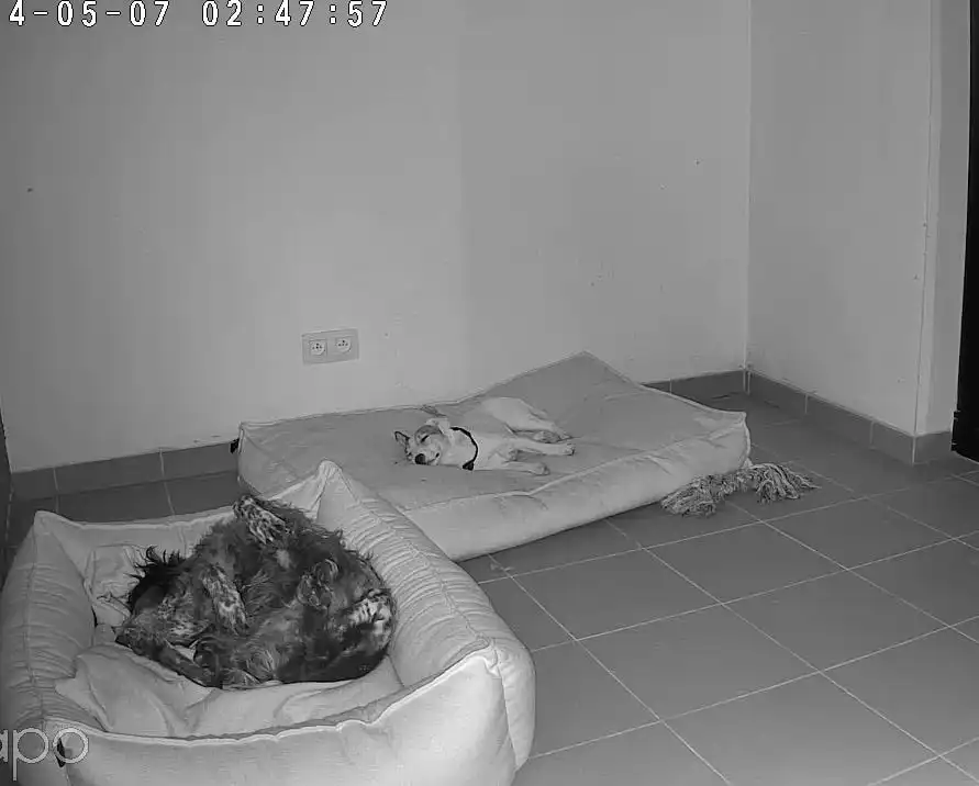 image-8