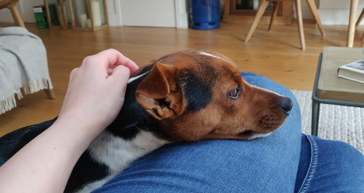 image-7