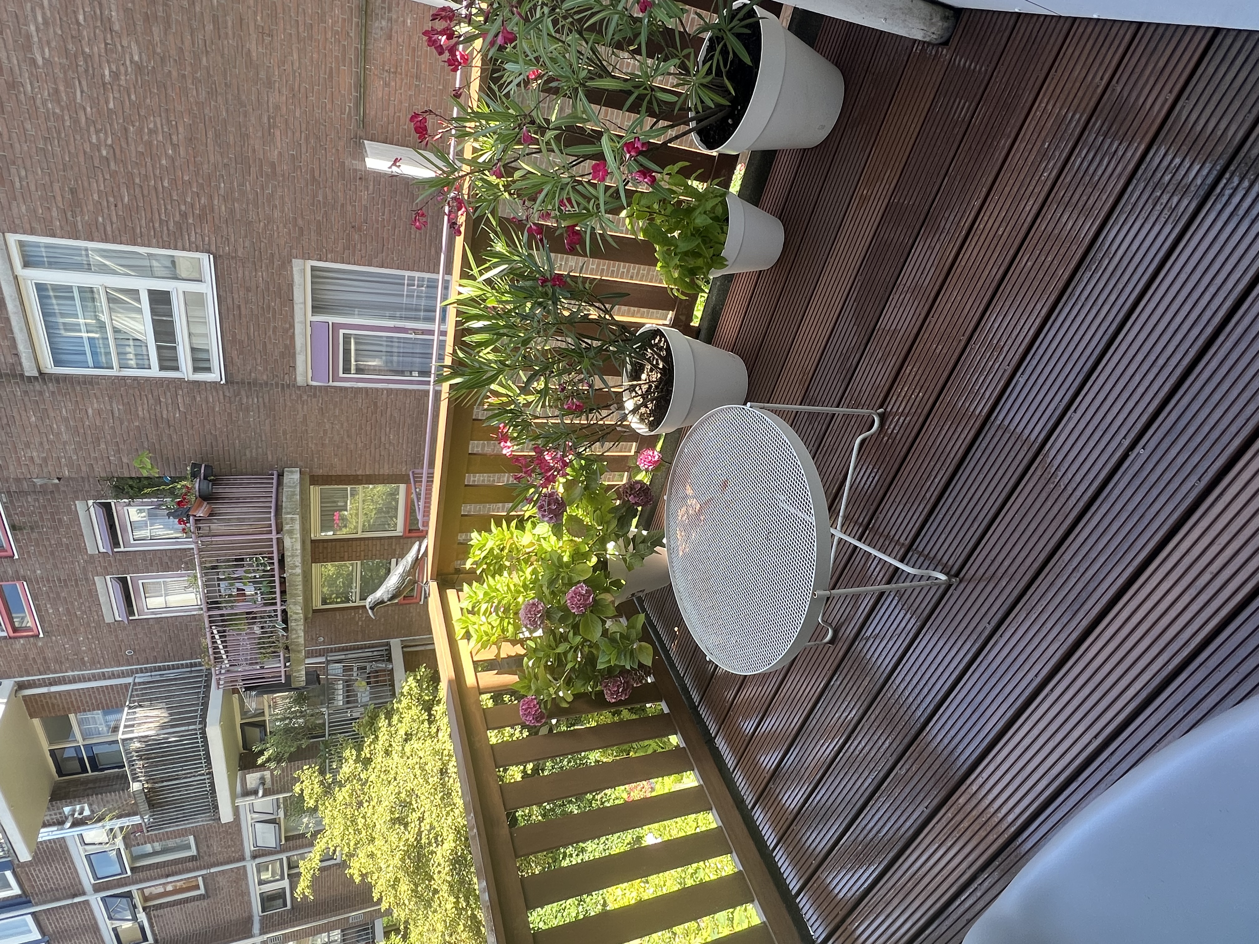 image-19