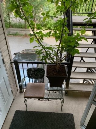 image-18