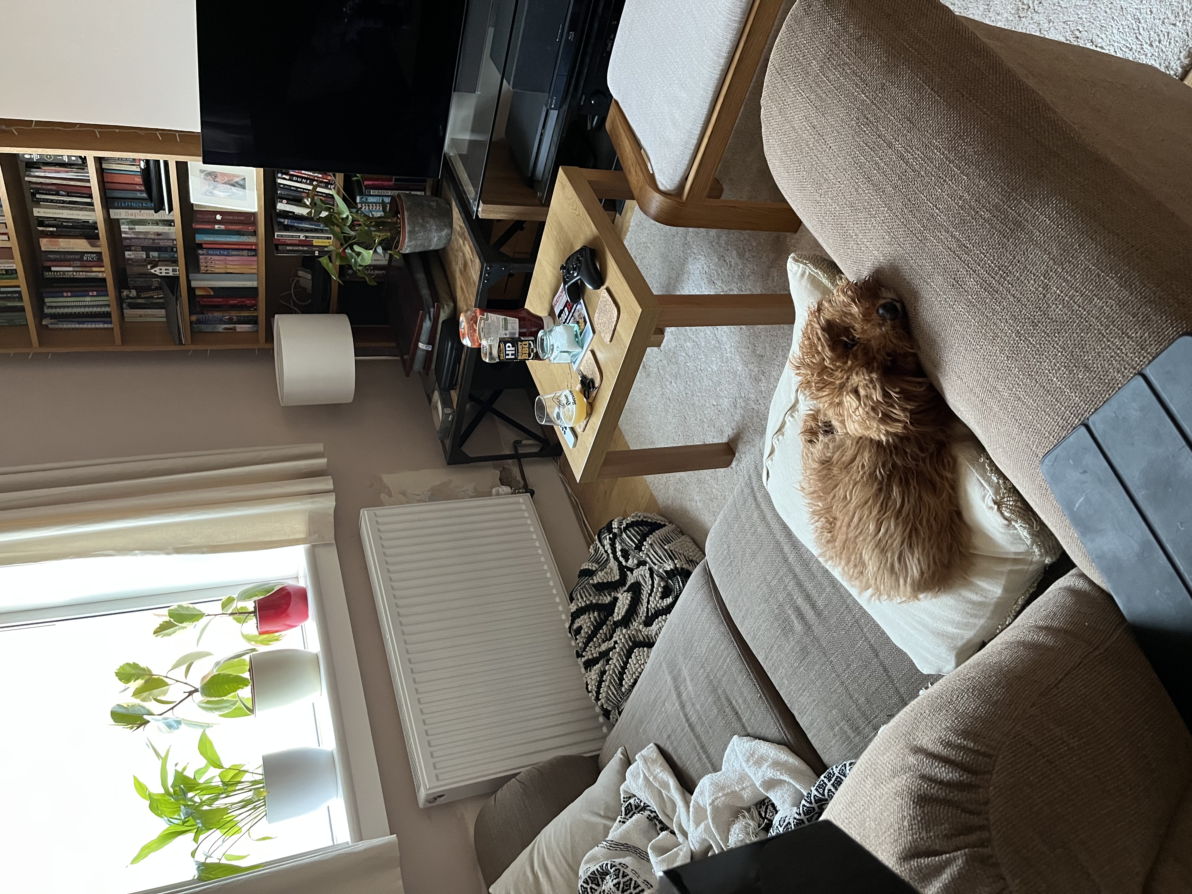 image-8