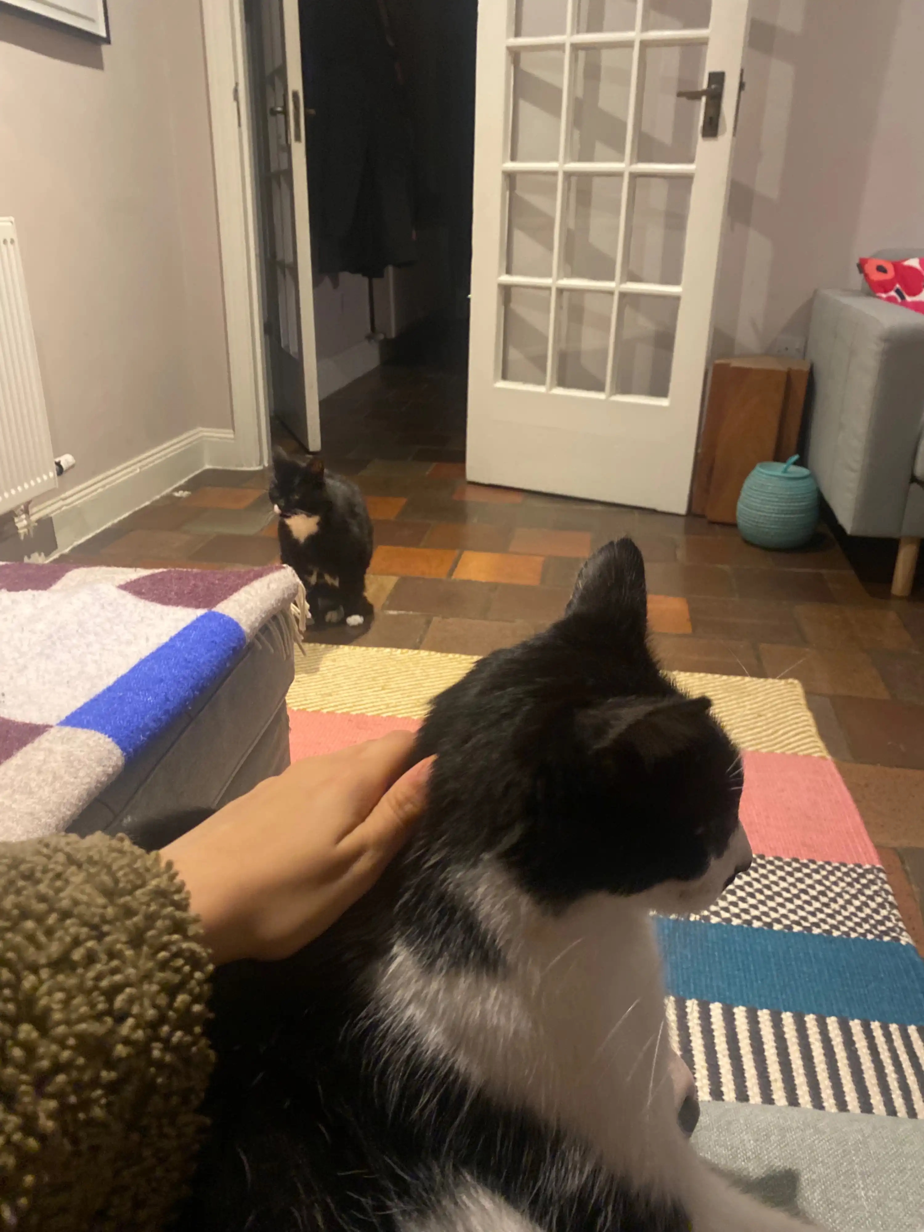 image-34