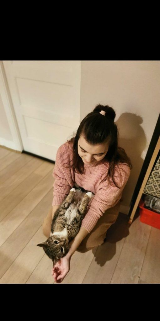 image-9