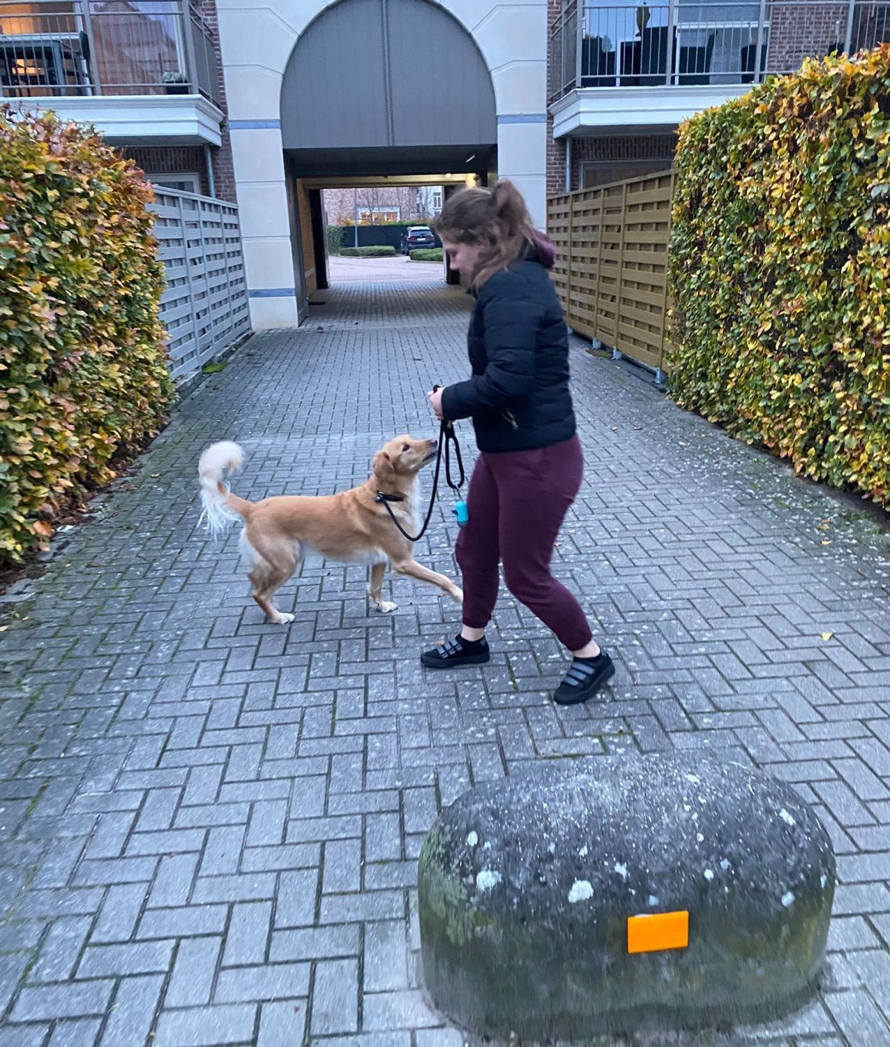 image-16