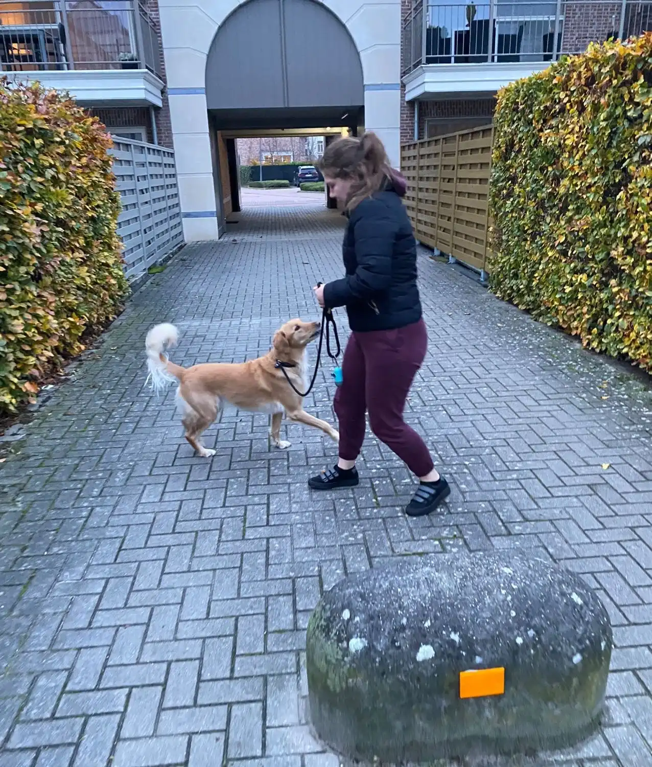 image-16