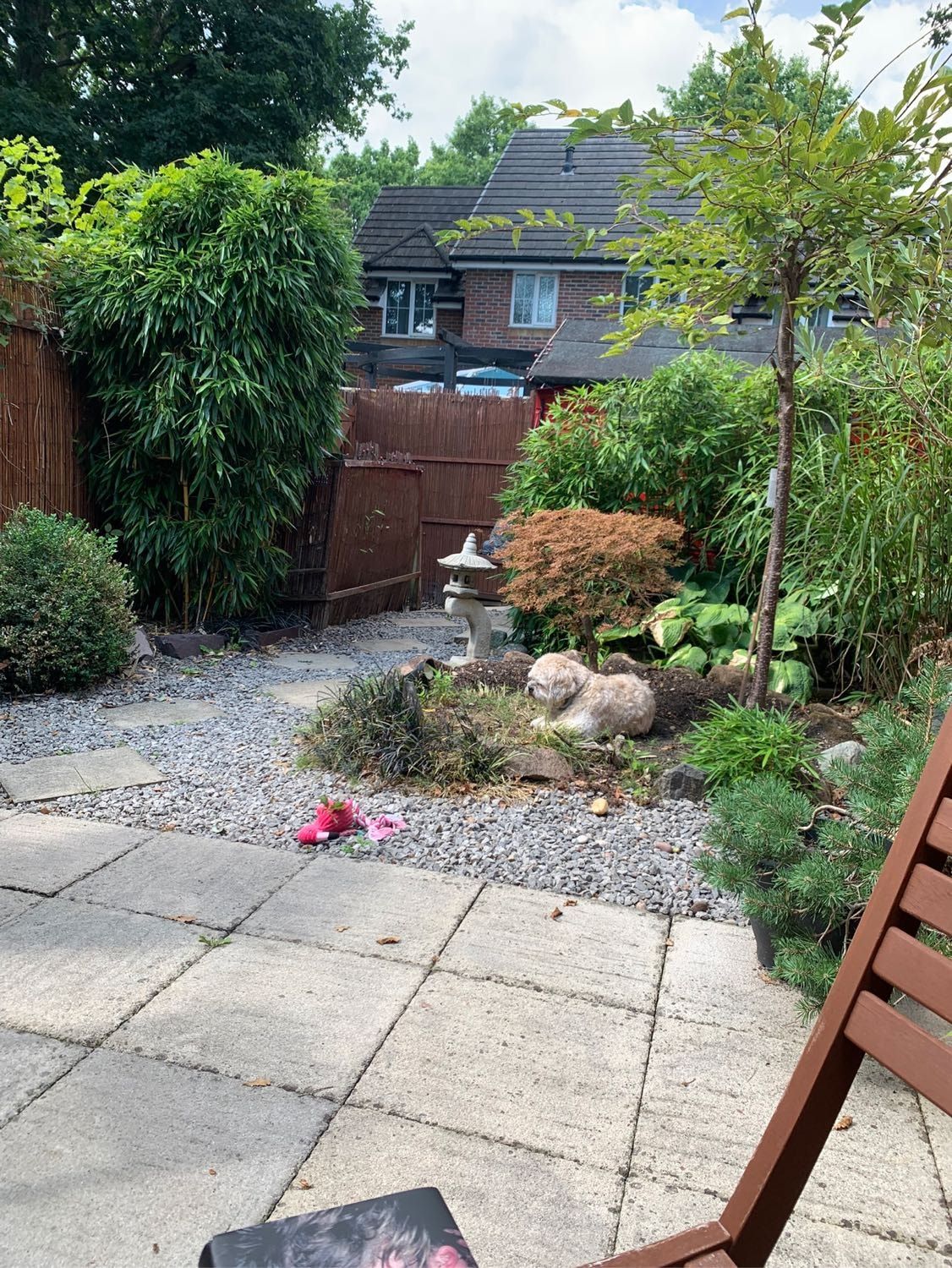 image-3