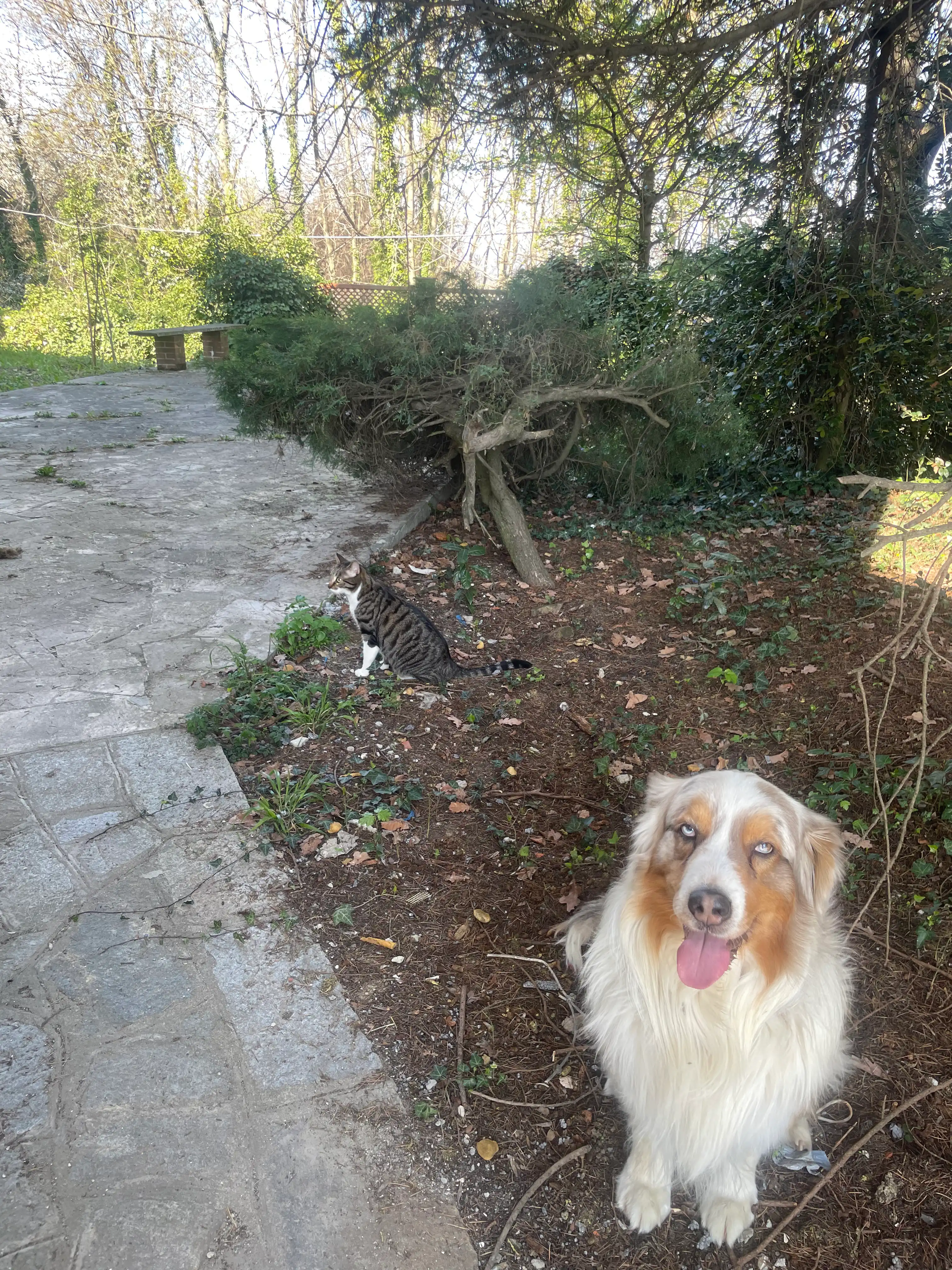 image-5