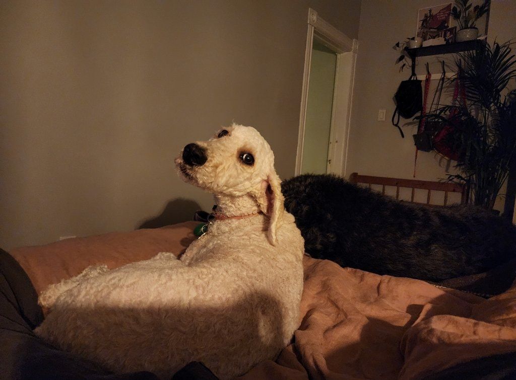 image-33