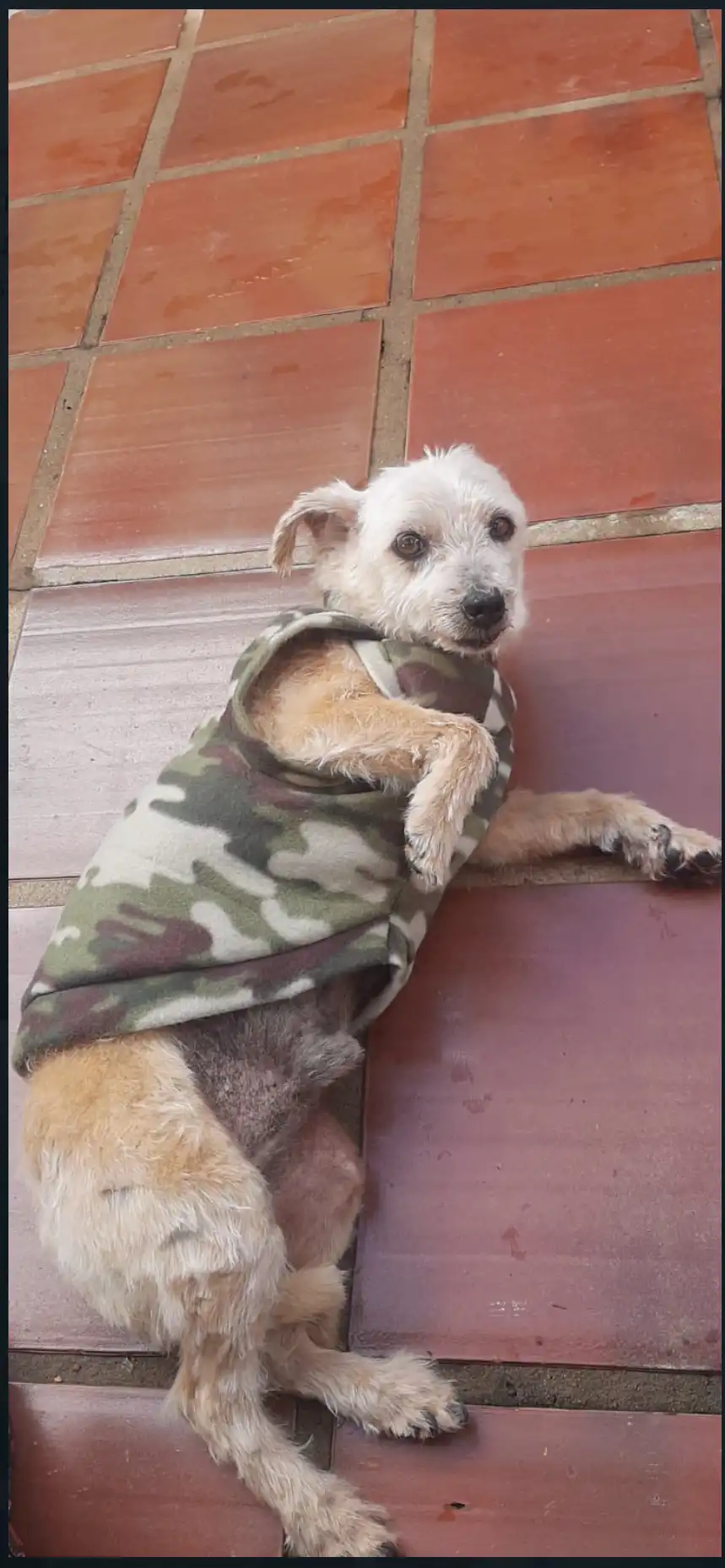 image-17