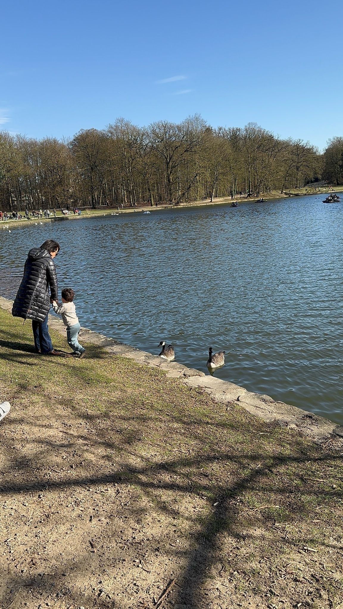 image-32