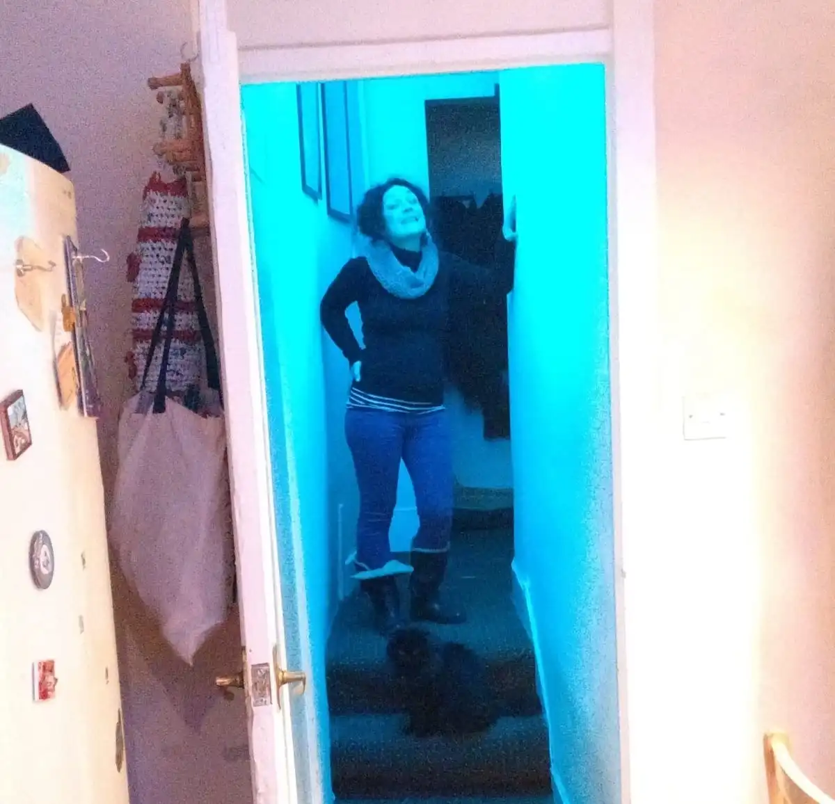 image-7
