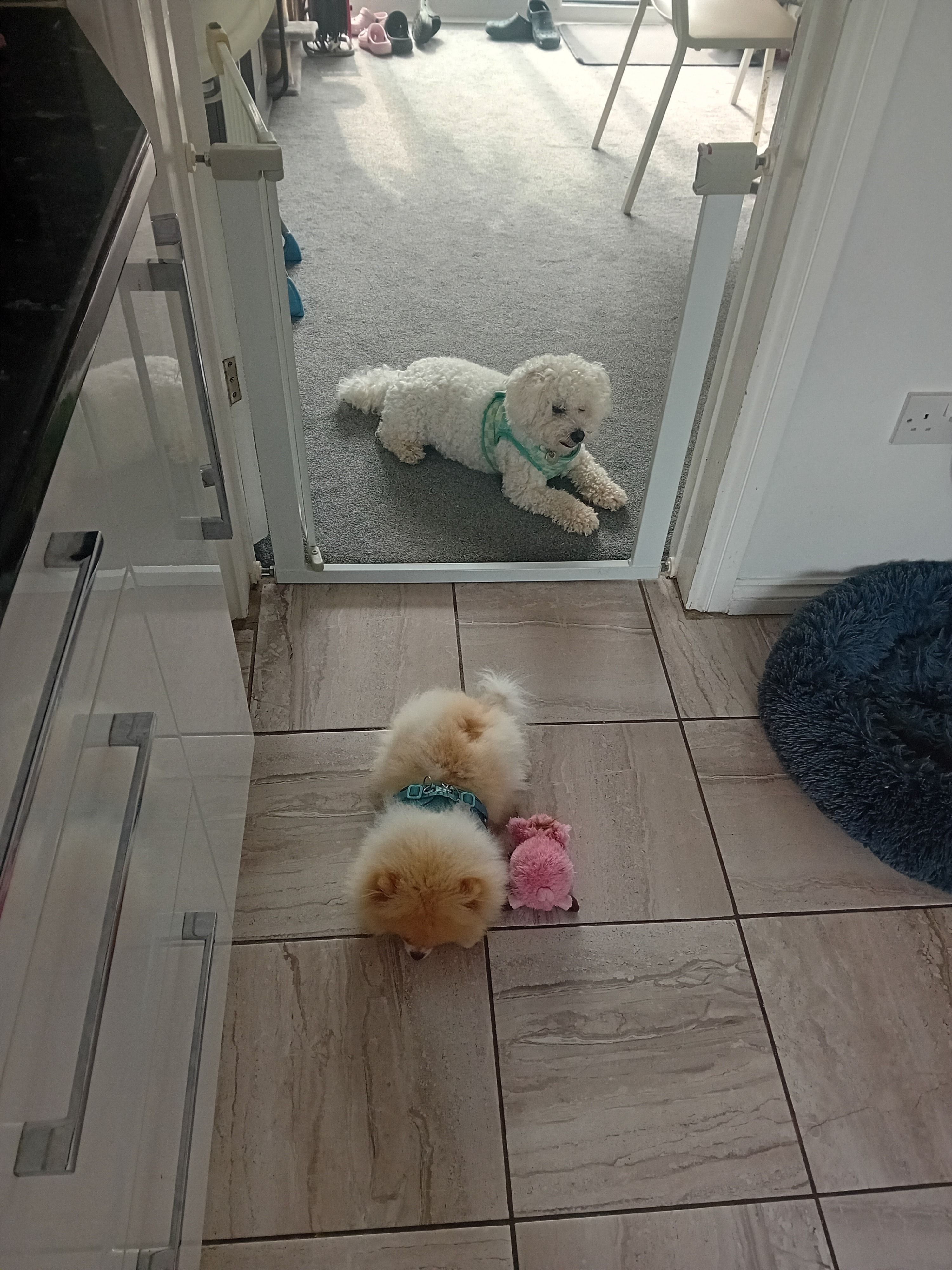image-23