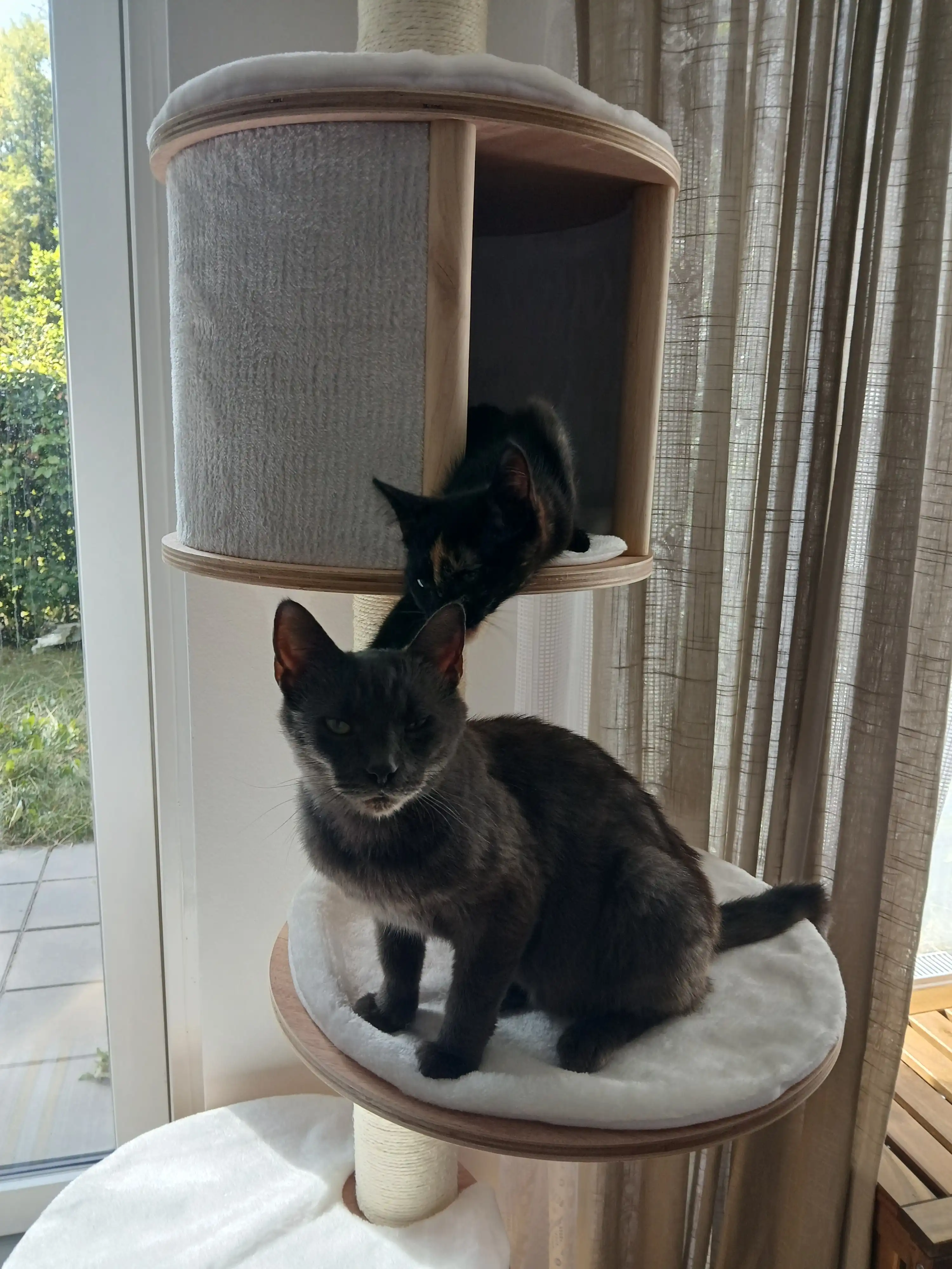 image-6