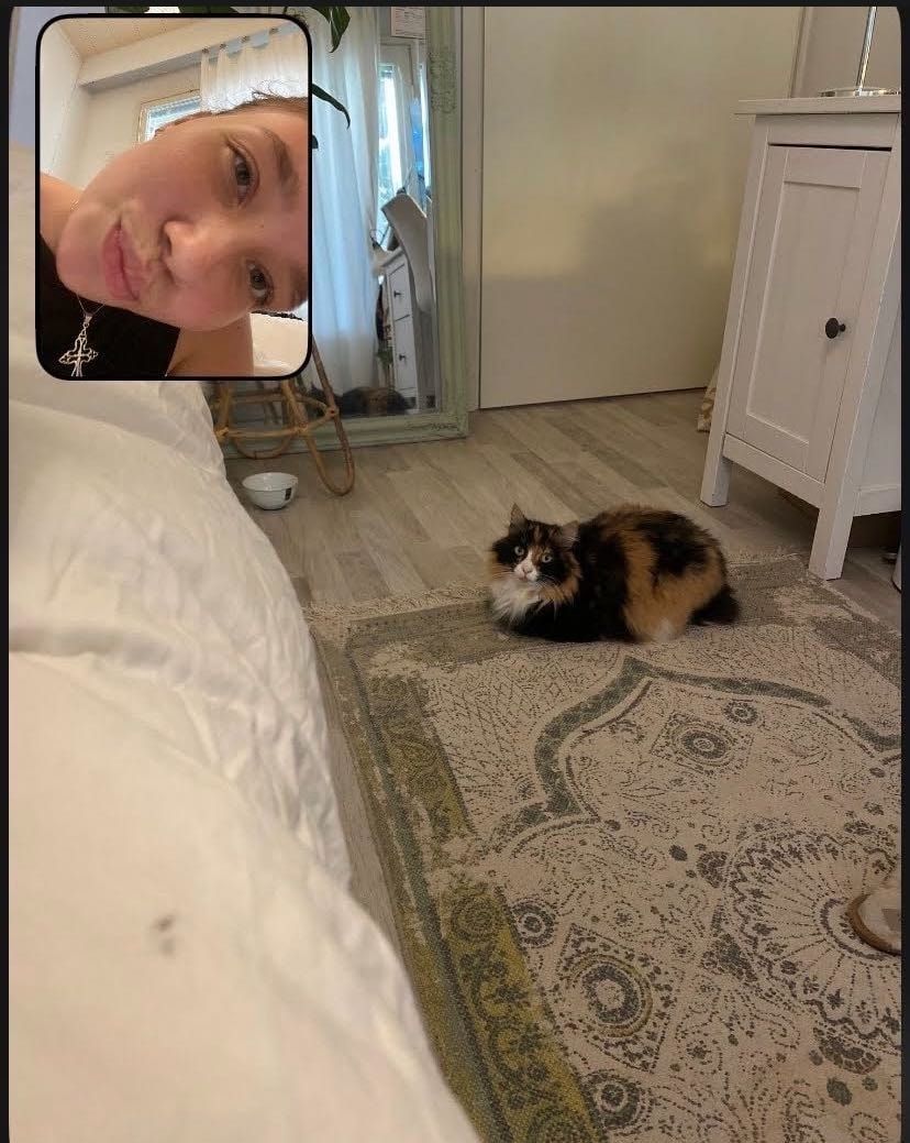 image-6