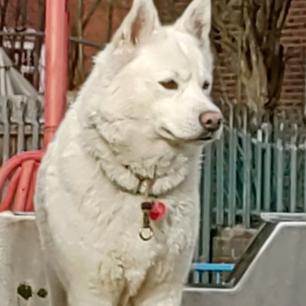 image-14