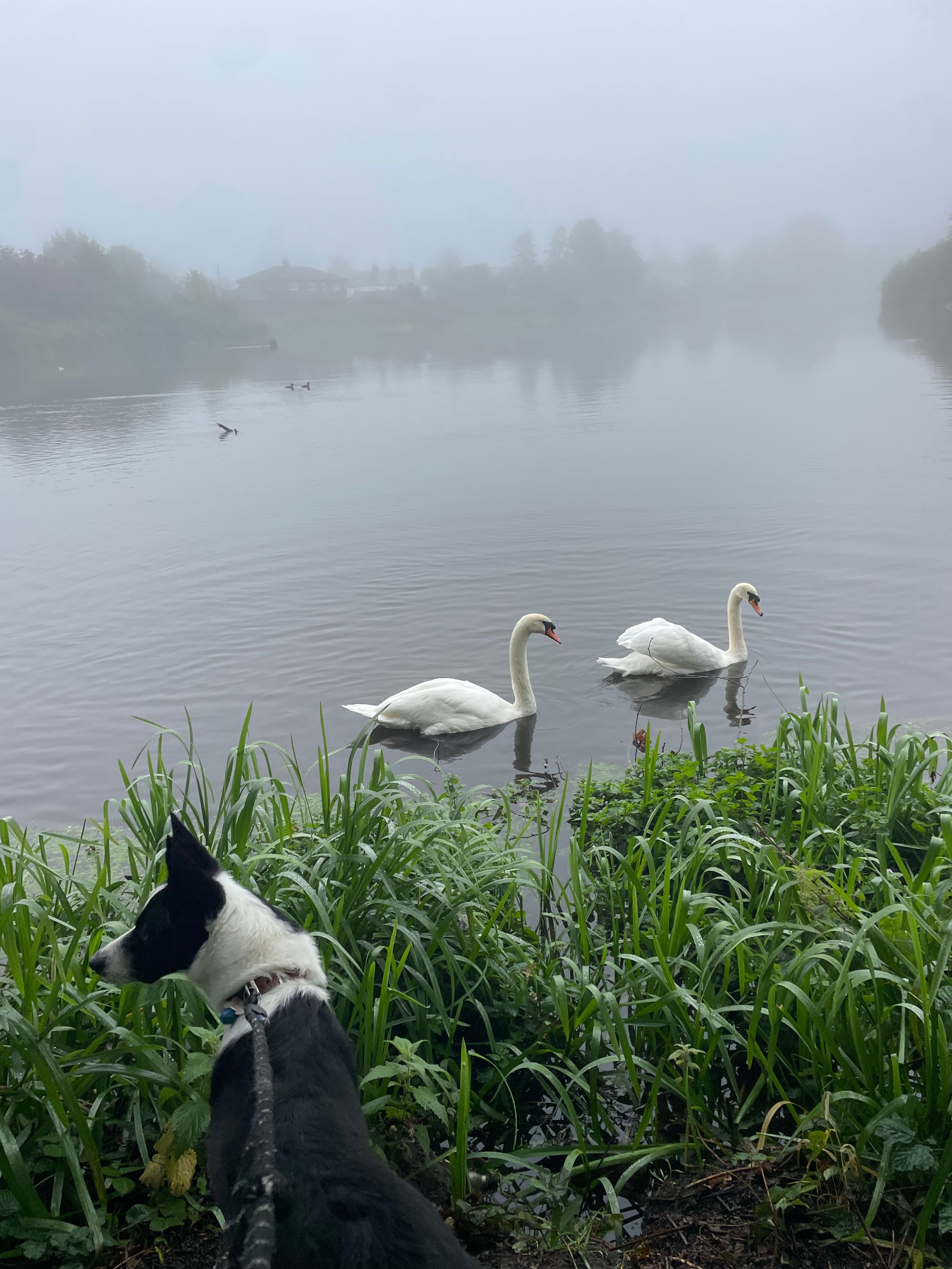 image-29