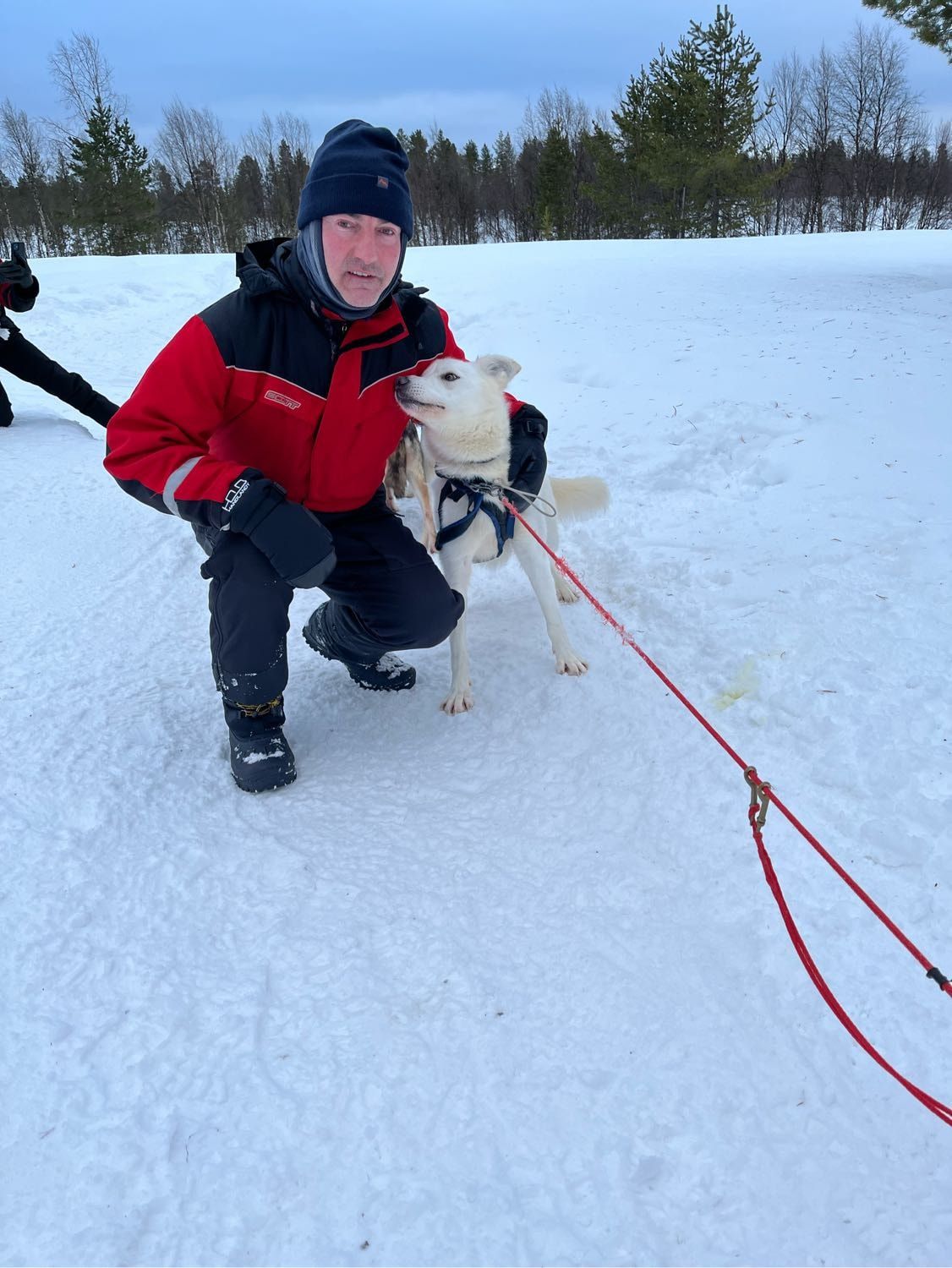 image-2
