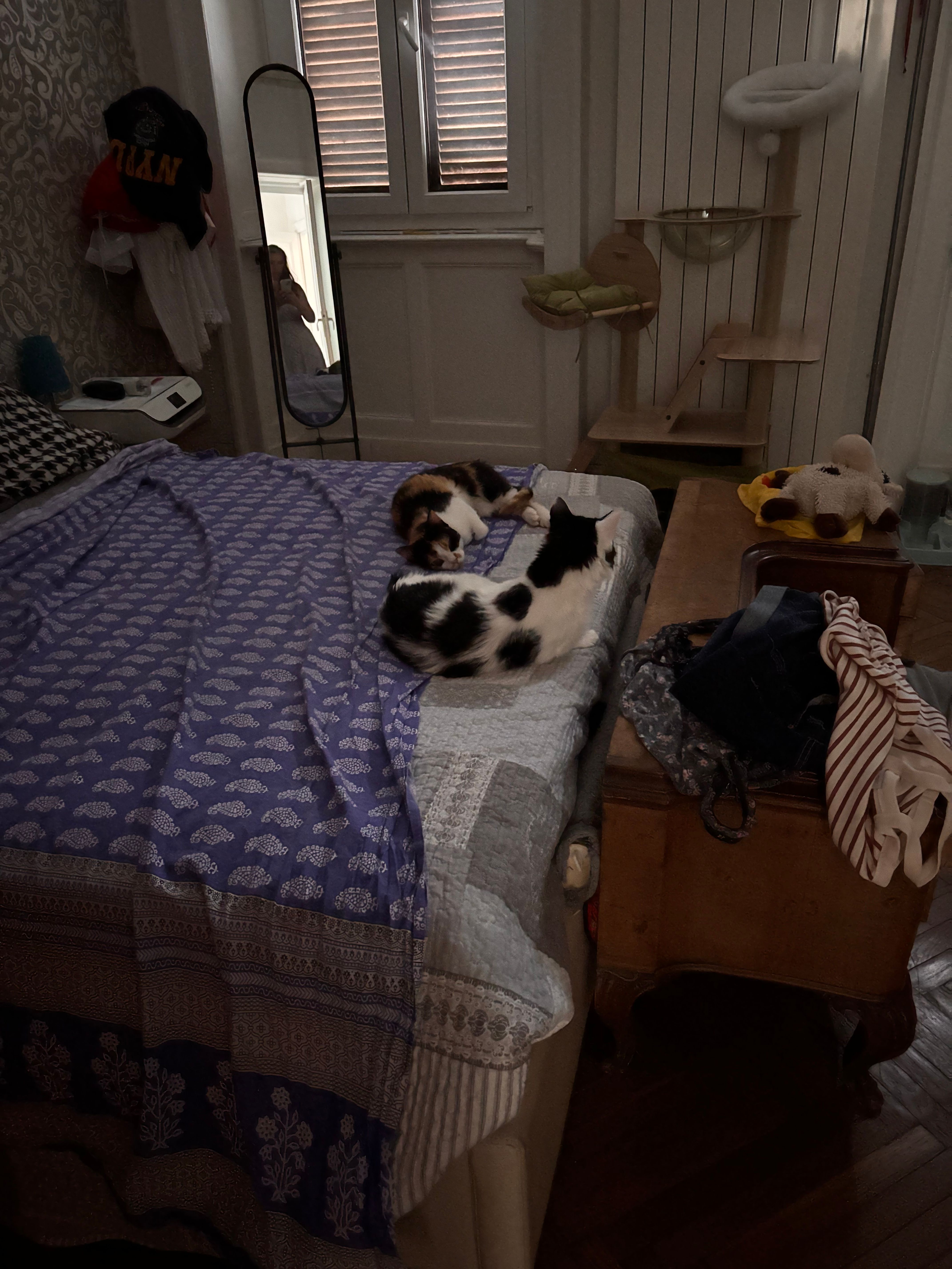 image-15