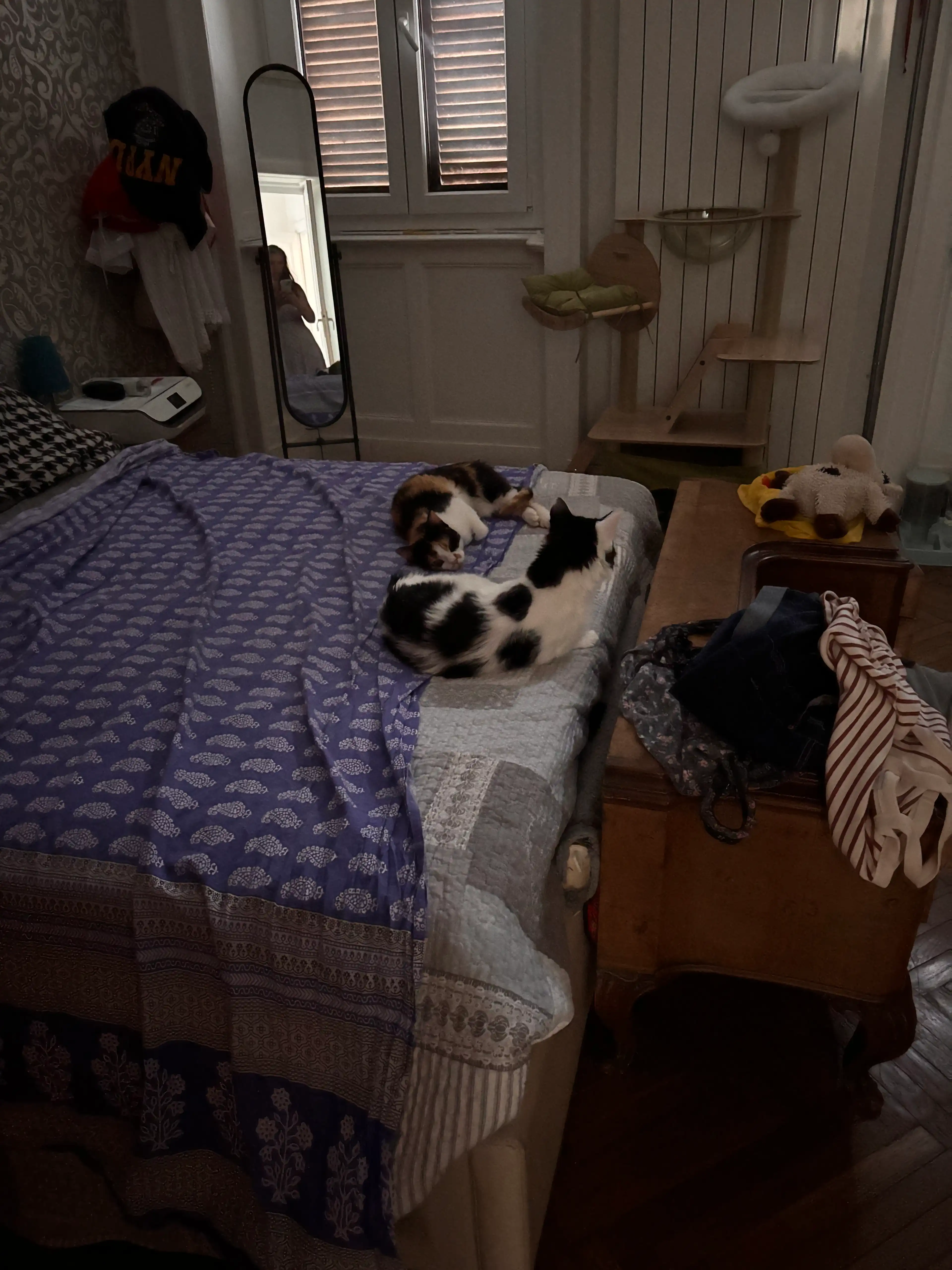 image-15